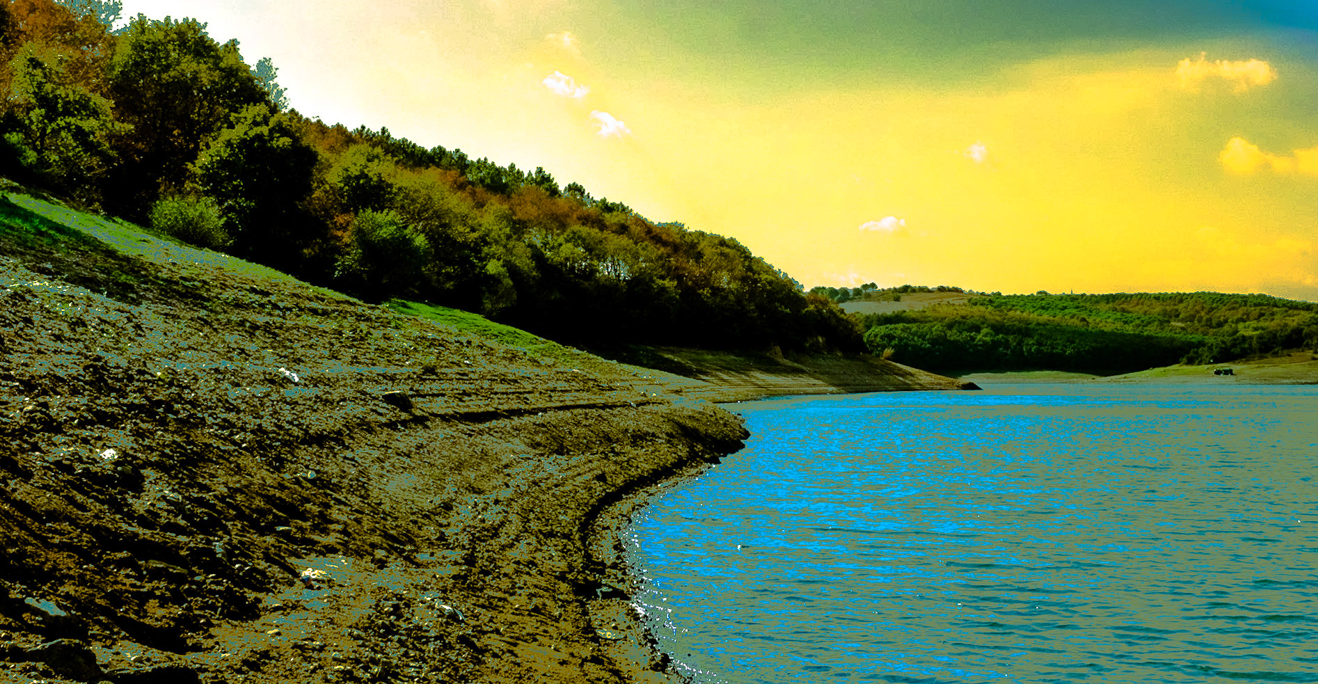 Ömerli reservoir: shorescape