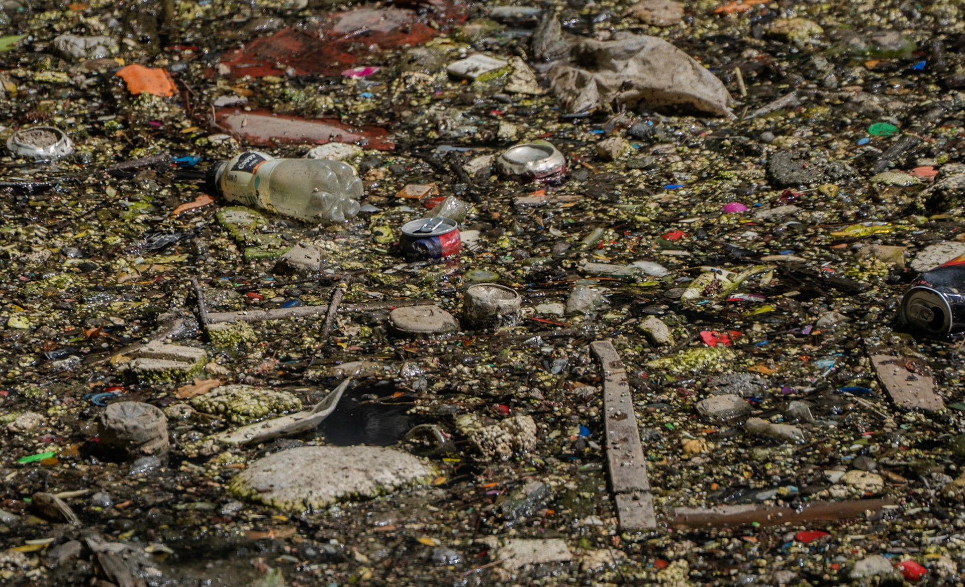 the Değirmendere: appalling flotsam