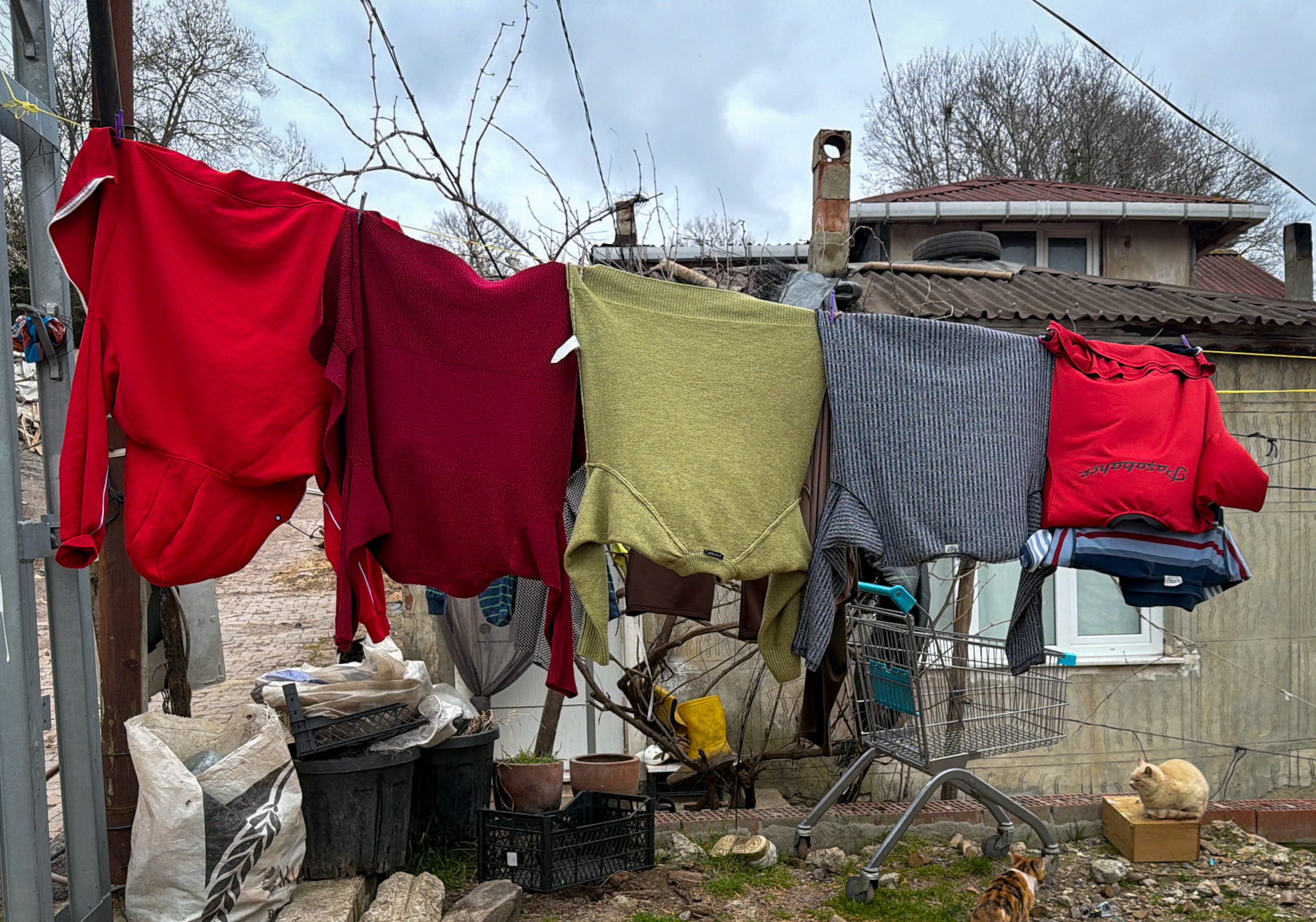 Mahmut Şevket Paşa: line of coloured sweaters