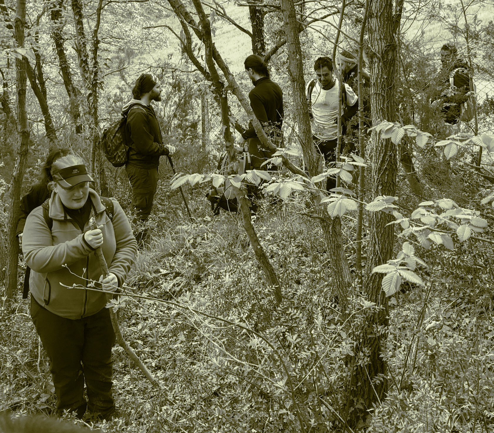 between Kılıçlı Köyü and İshaklıköy: in forest