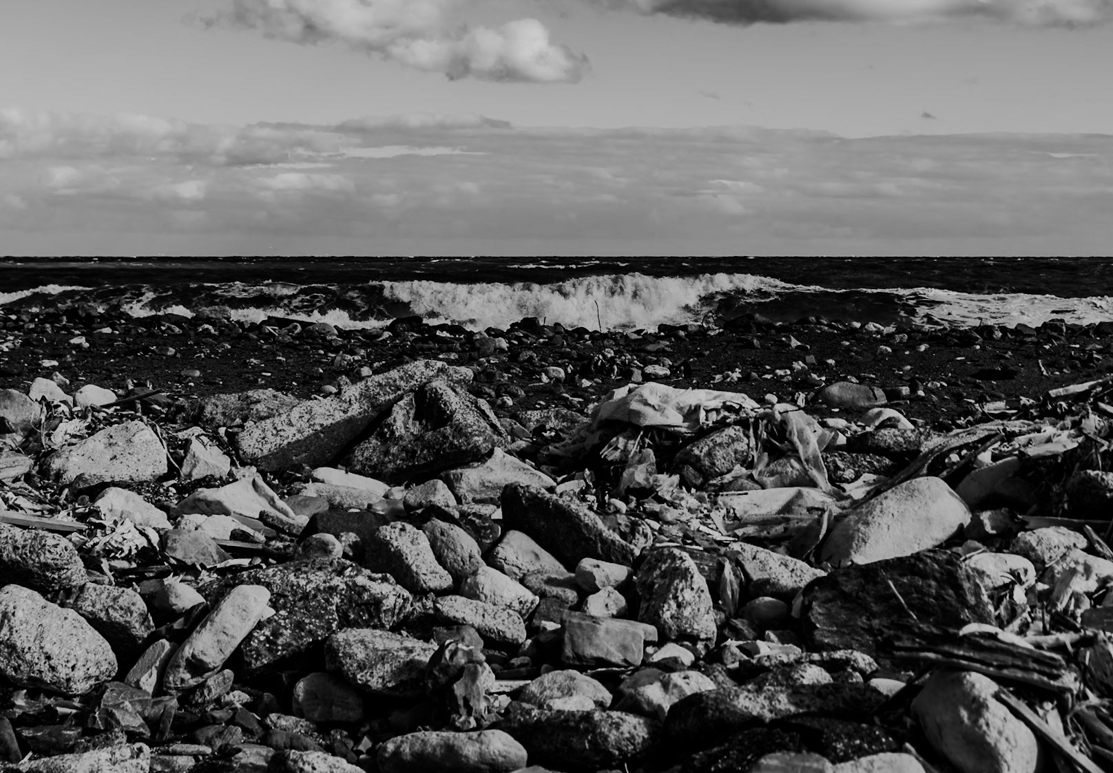 Black Sea coast east of Yeniköy: flotsam, stones and sea