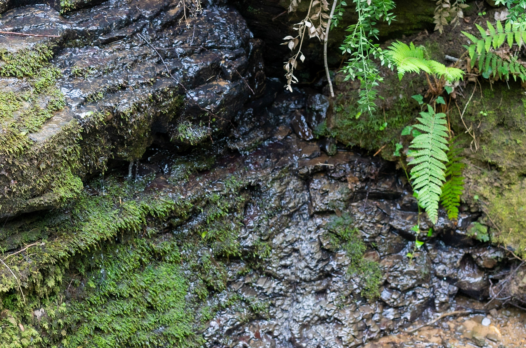 between Kılıçlı Köyü and İshaklıköy: stream
