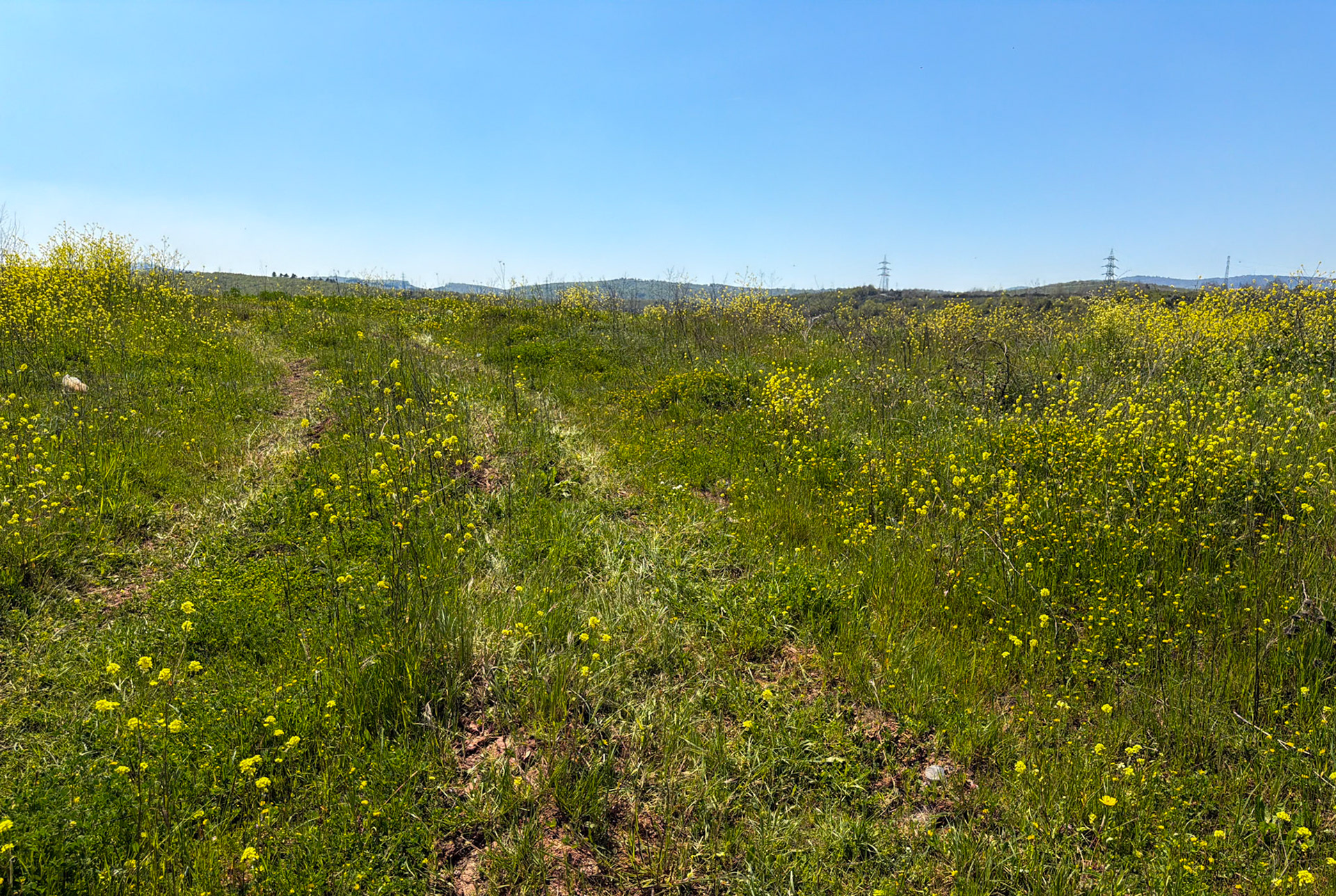 Hüseyinli western farm: meadow and track