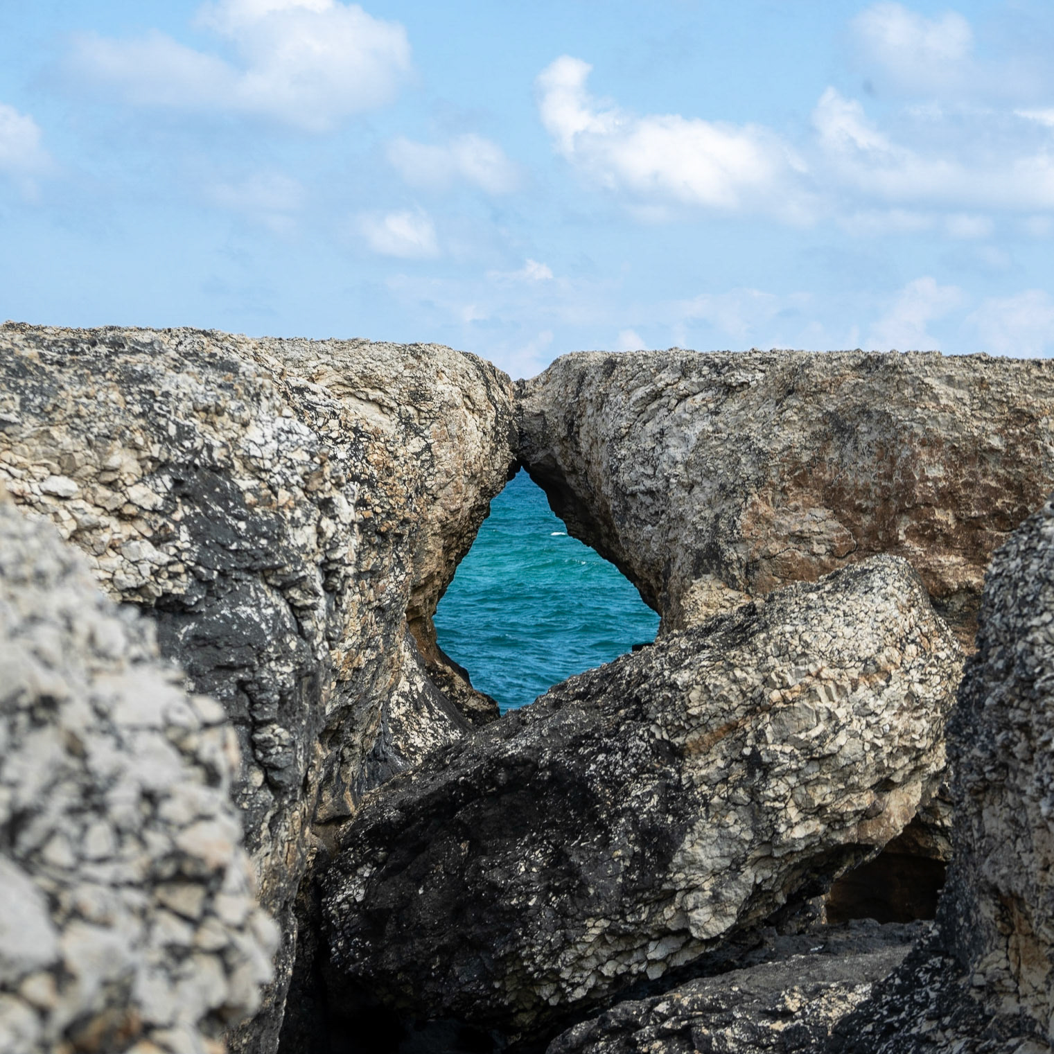 Sahilköy basalt rock formation: kissing seals