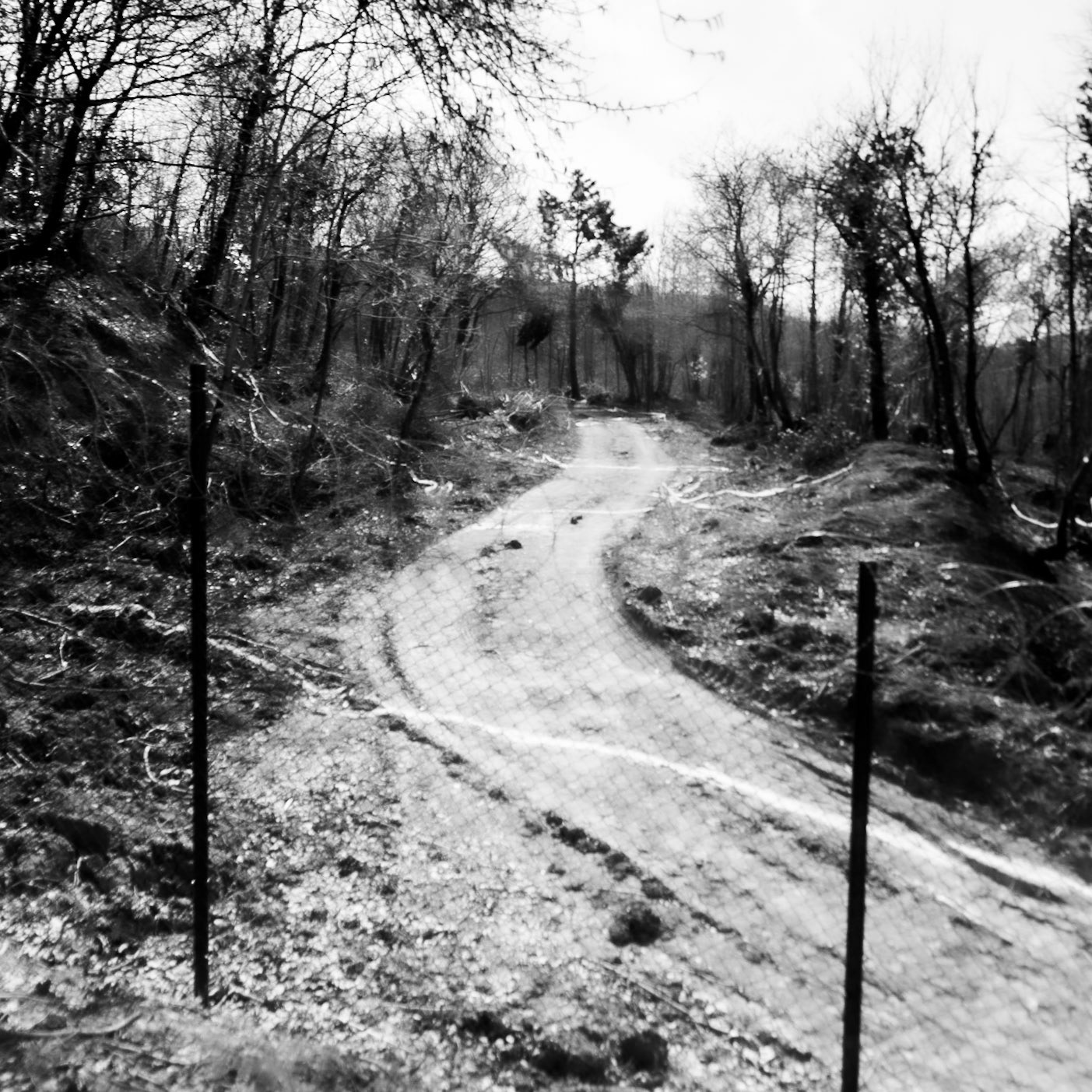 Kirazlı woods: the northern perimeter fence