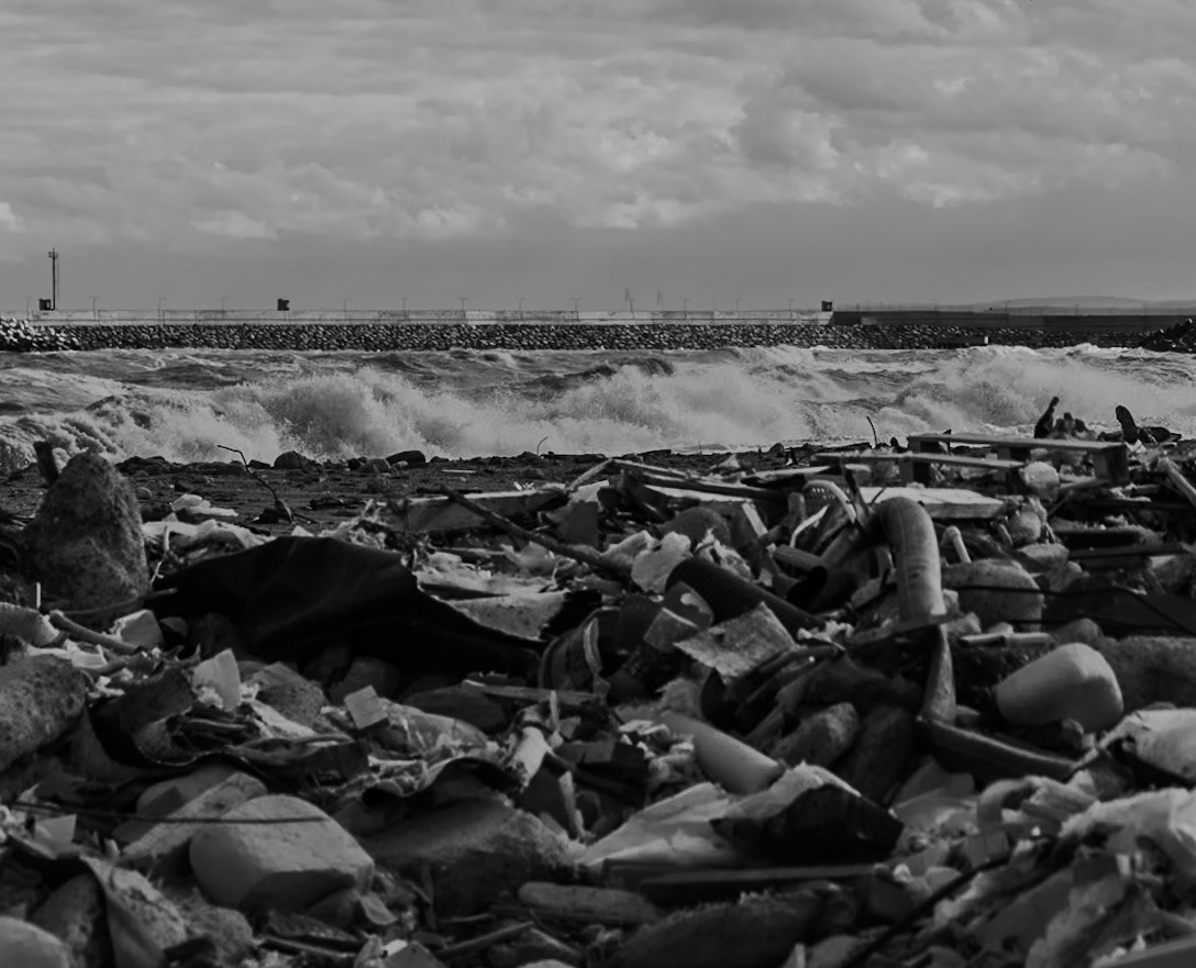Black Sea coast east of Yeniköy: flotsam, stones, sea and a harbour wall