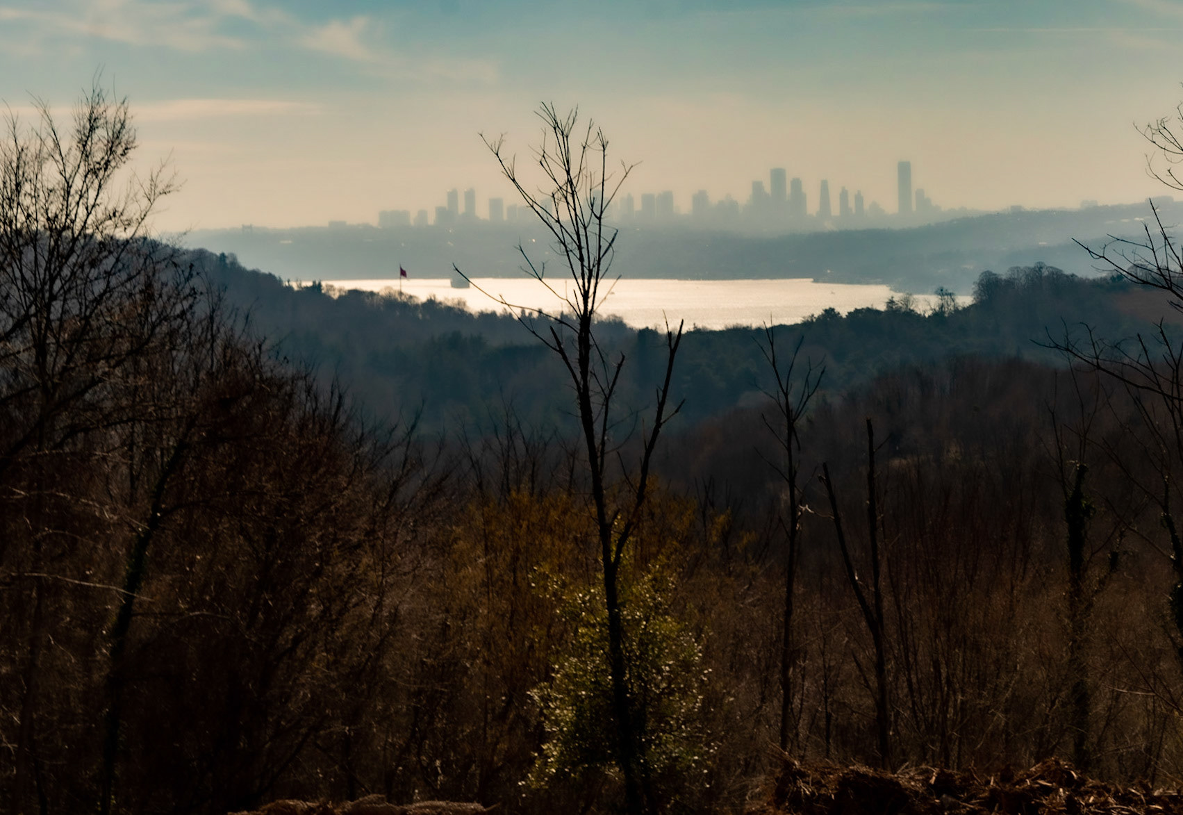 Kaymakdonduran woods: view southwest