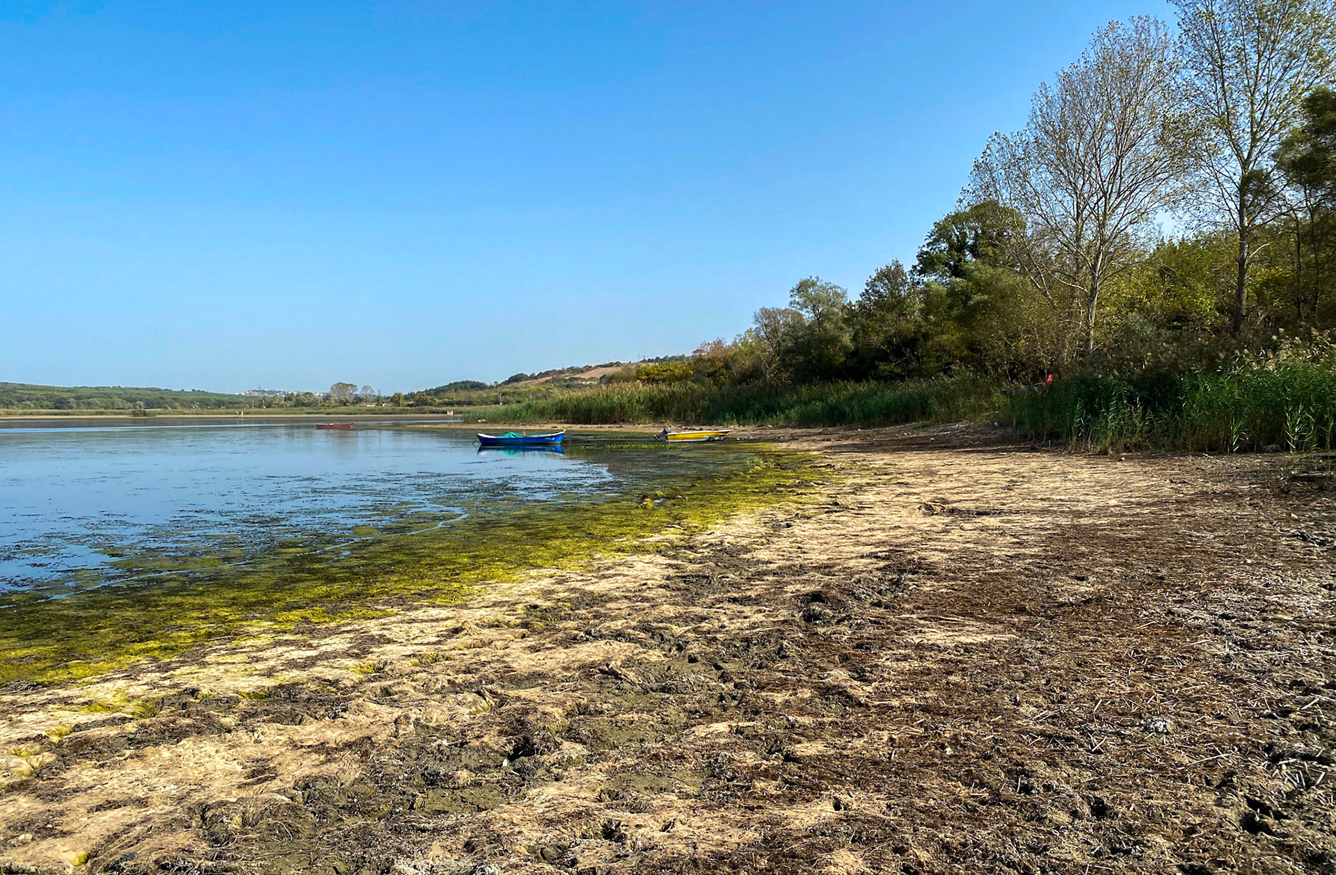 Trikos mudflats: view east