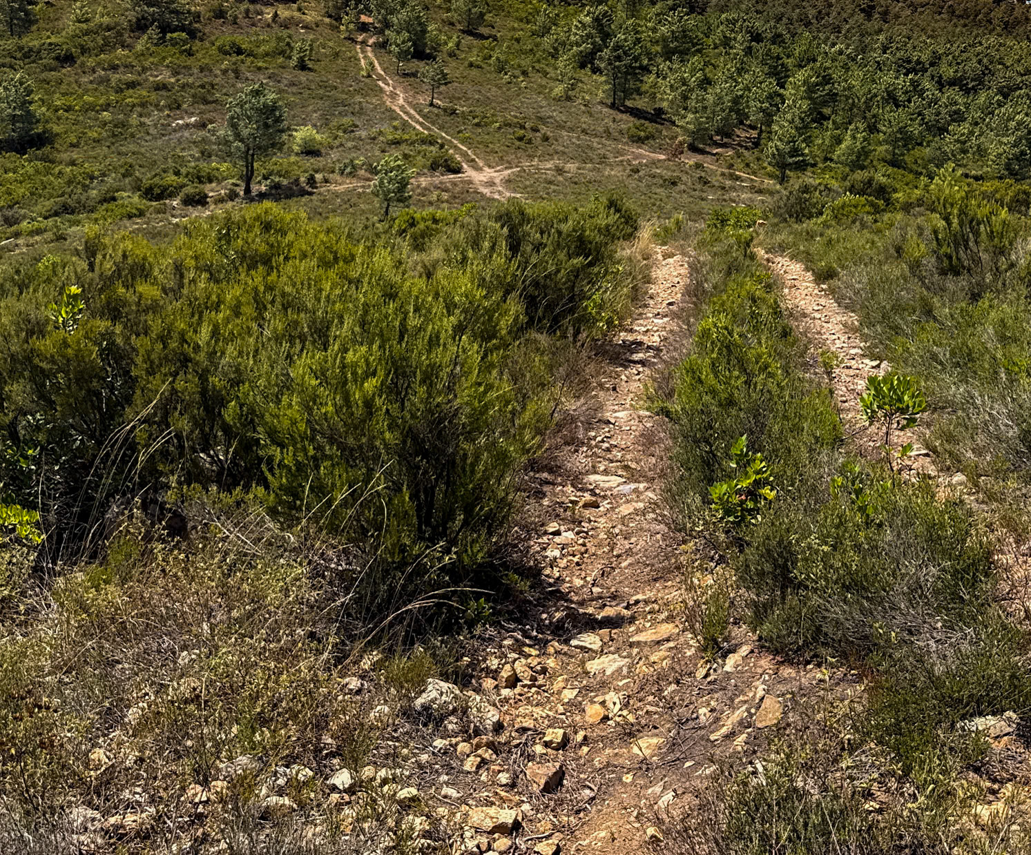 Zirve heaths: crosstracks
