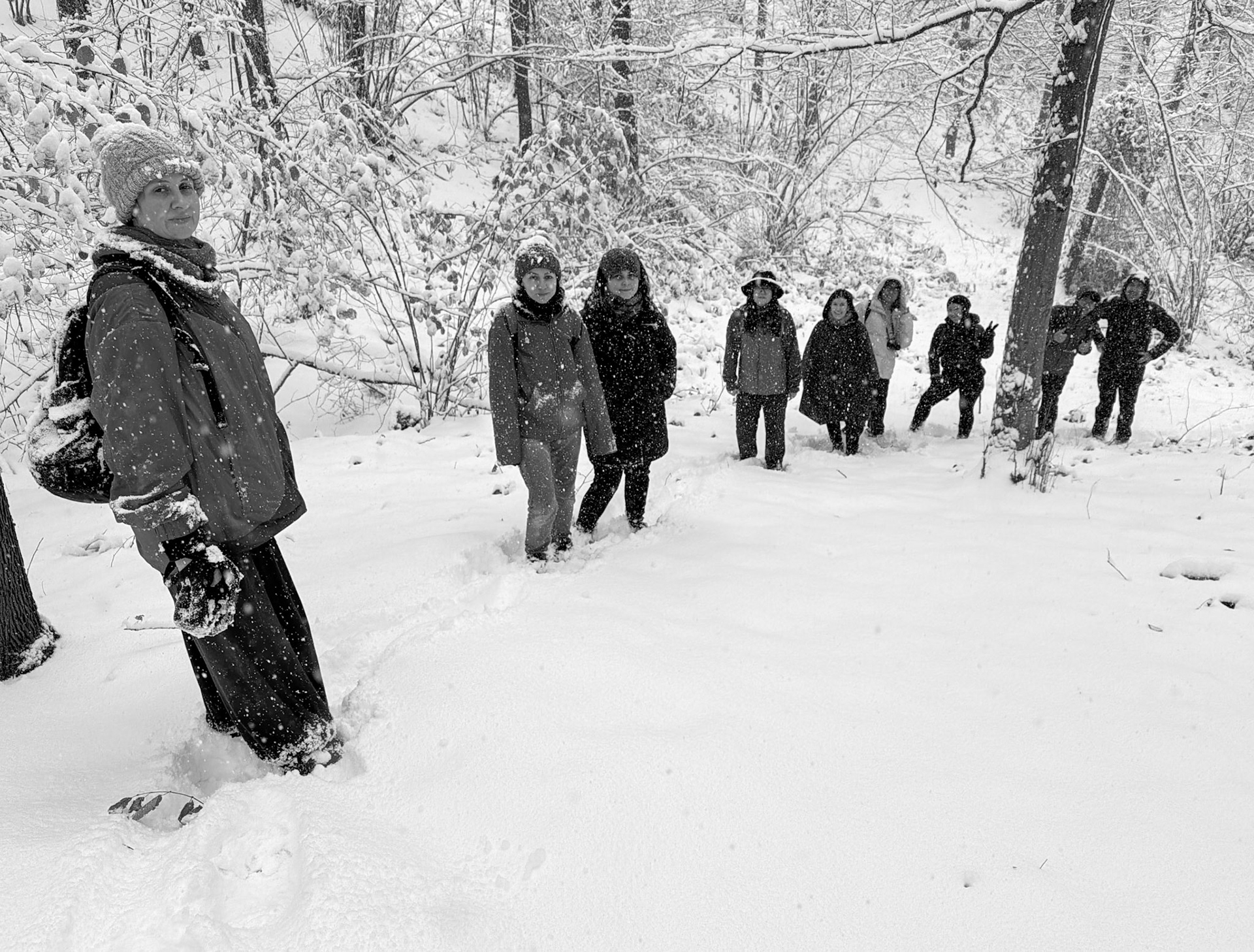 NE Belgrade Forest: plucky hikers in the snow