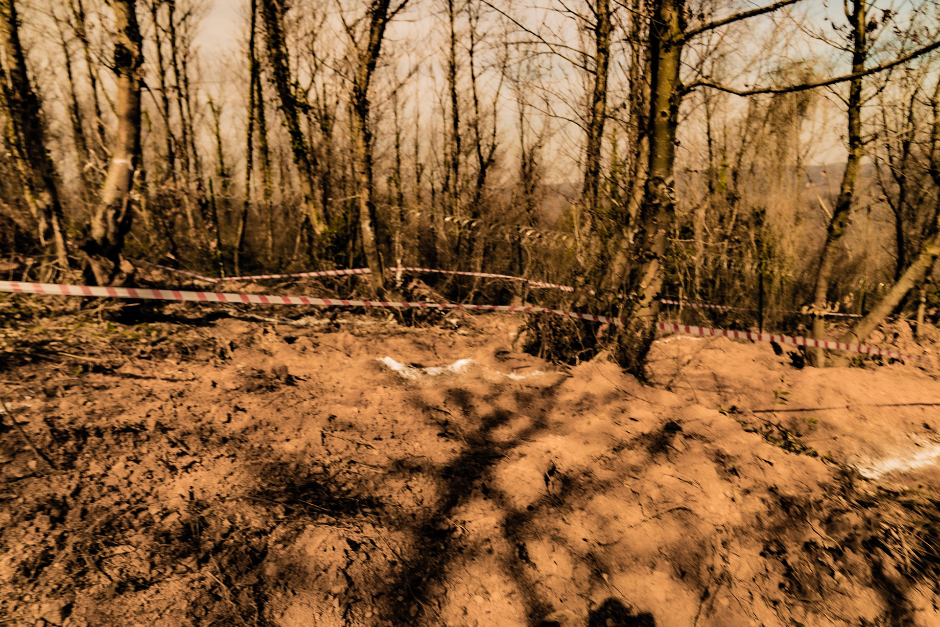 Kaymakdonduran woods: recently demarcated and cleared land