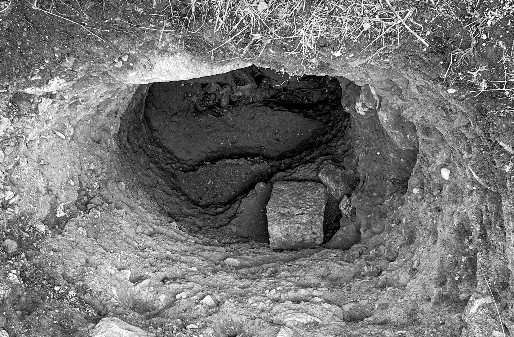 Melentiade: treasure hunters' dig