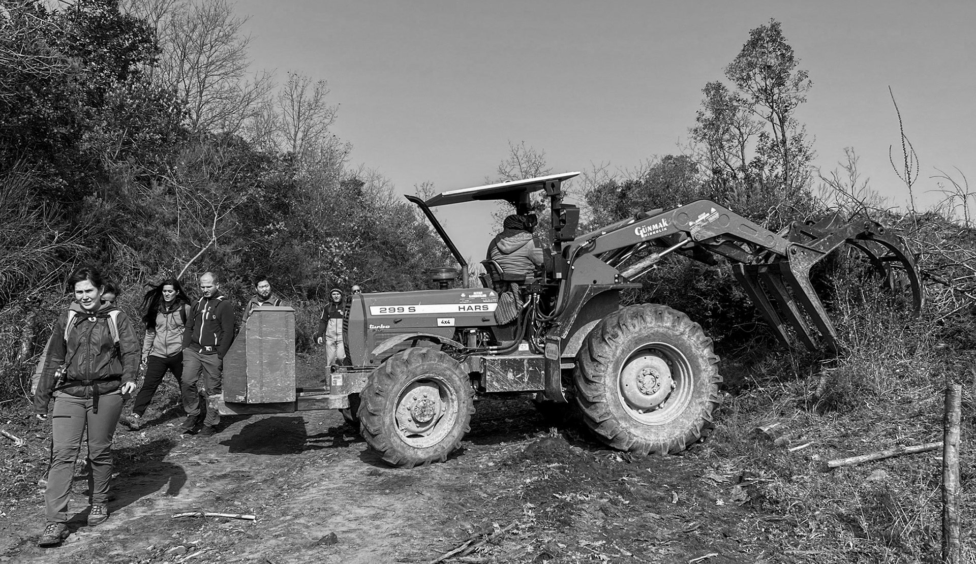 KYK wood: loading logs