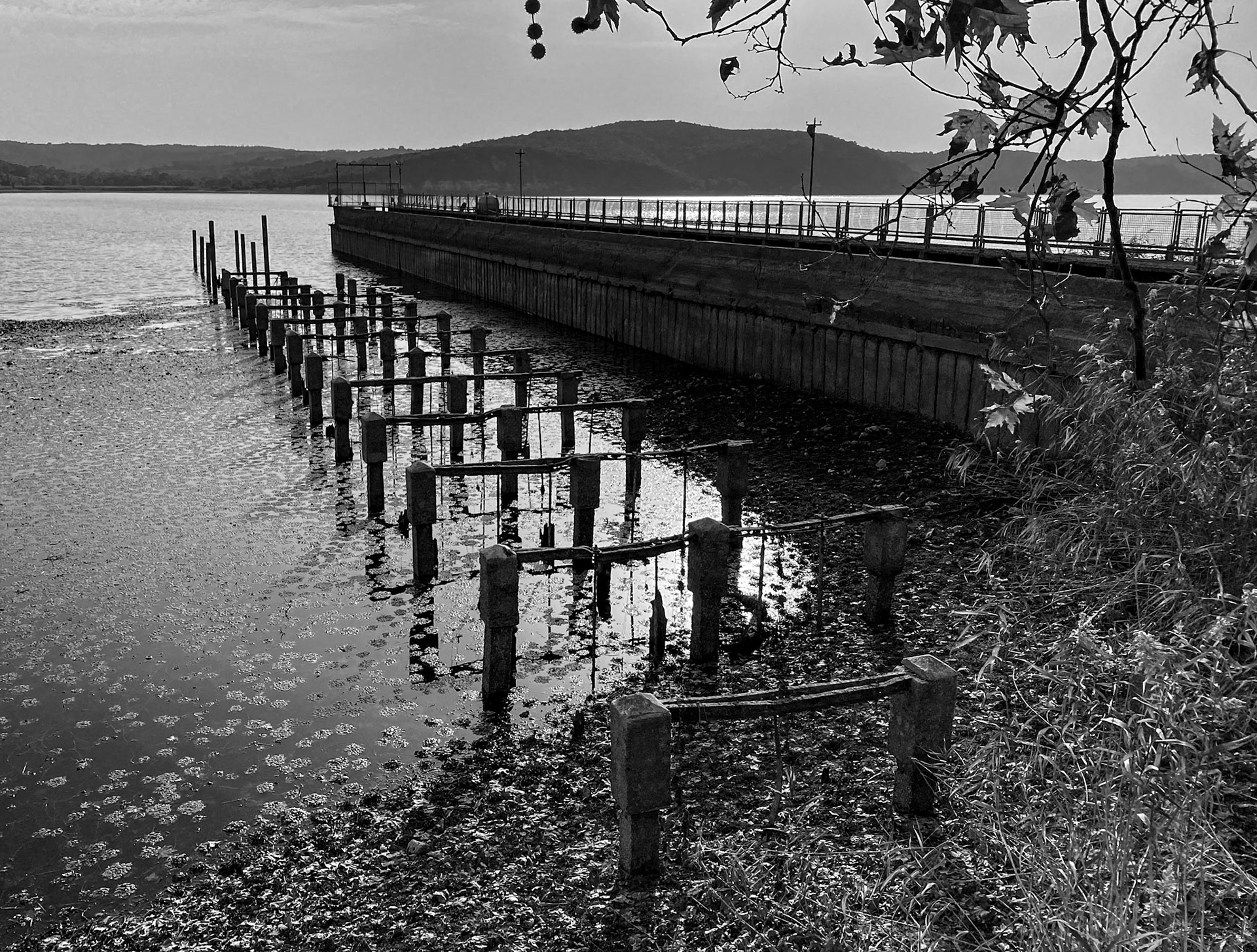 Trikos mudflats: the İSKİ jetty