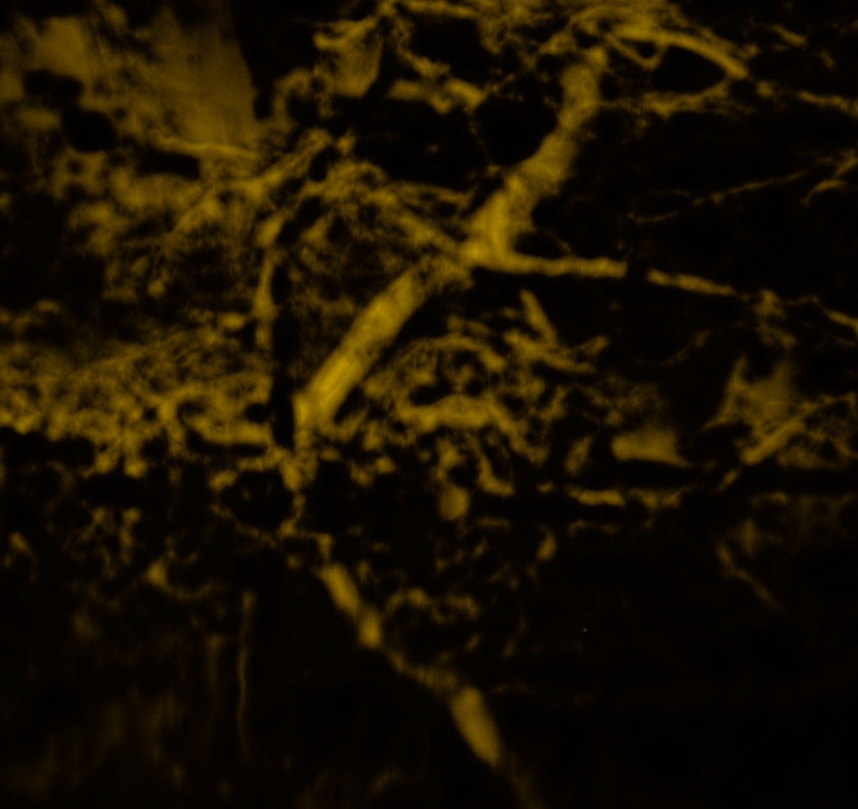 Valide Sultan reservoir: blurry abstraction