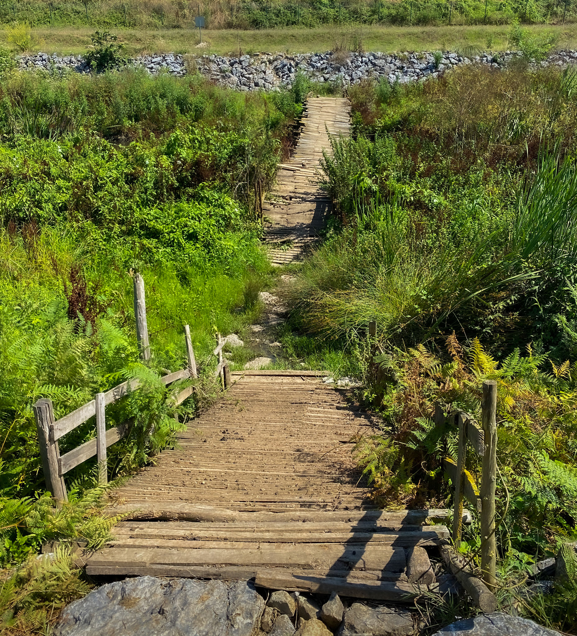 Çayǧız Deresi: footbridge