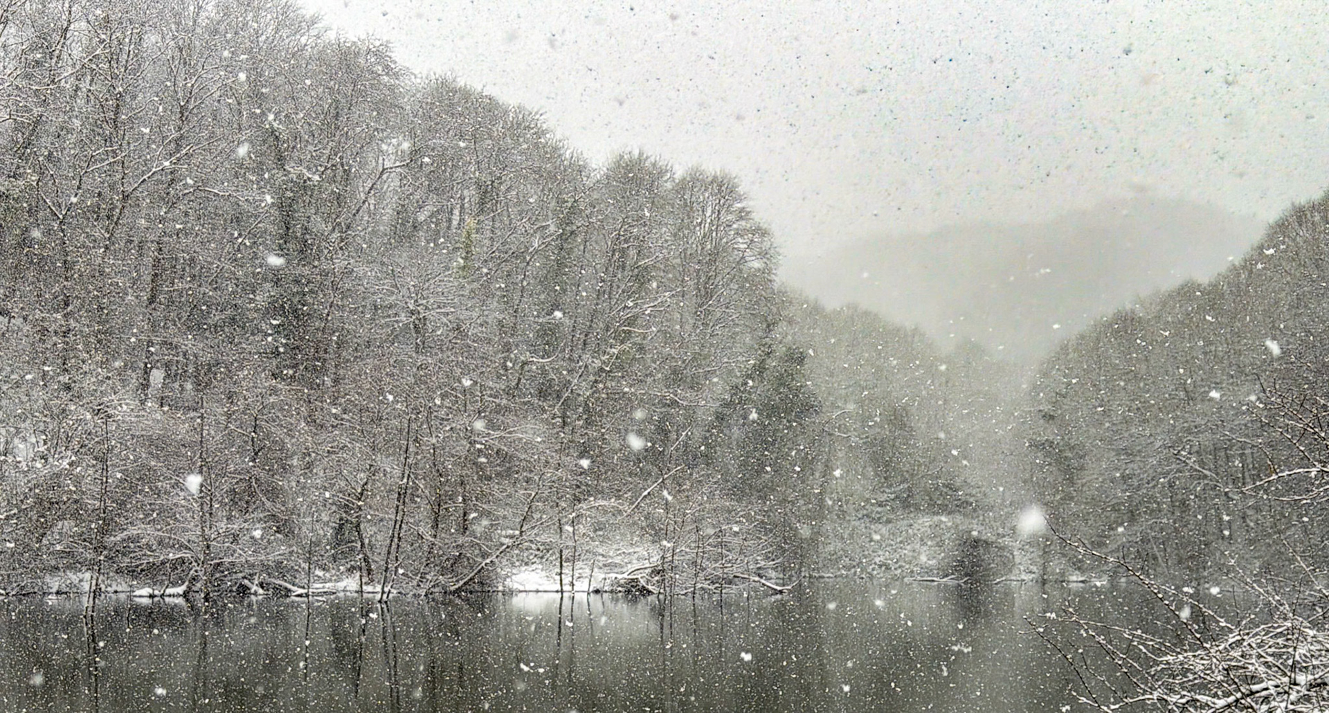 NW Zekeriyaköy pond: it's snowing!