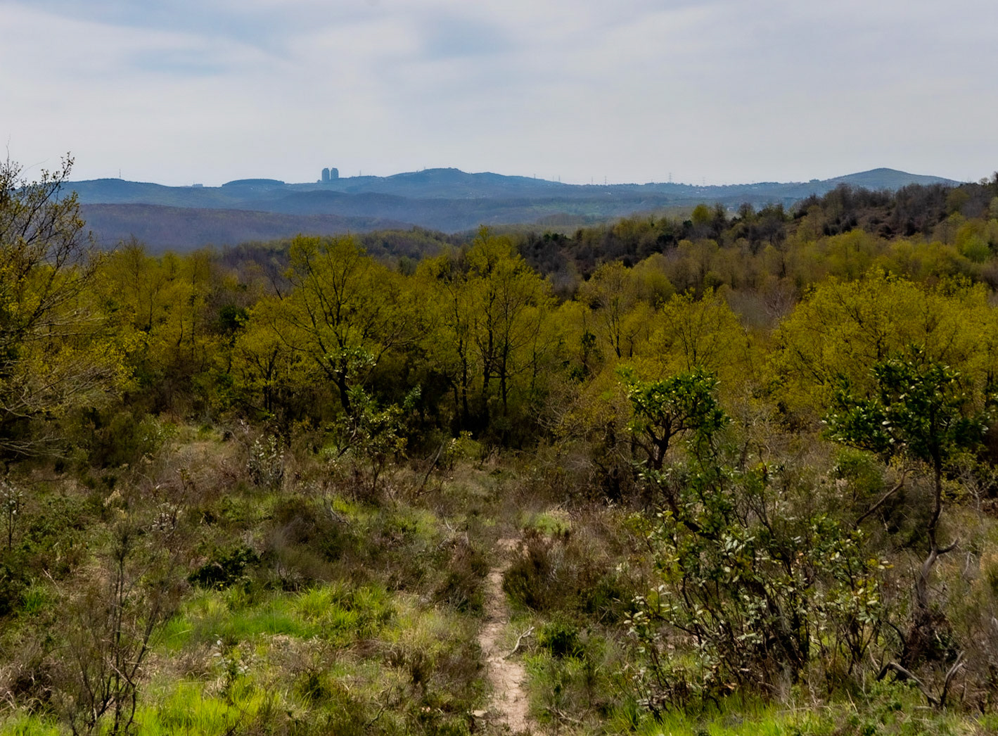 between Deǧirmen’s western tributary stream valley and Kozlu stream valley: spring view south