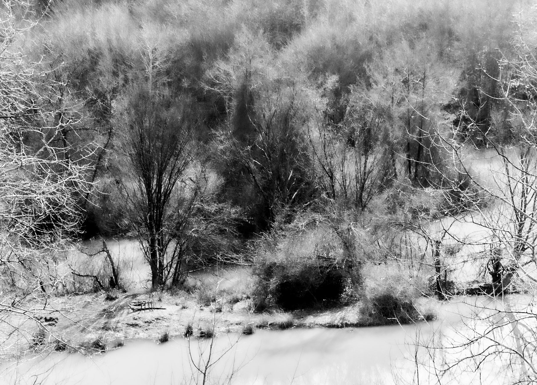 Değirmen reservoir: a fury of winter forest