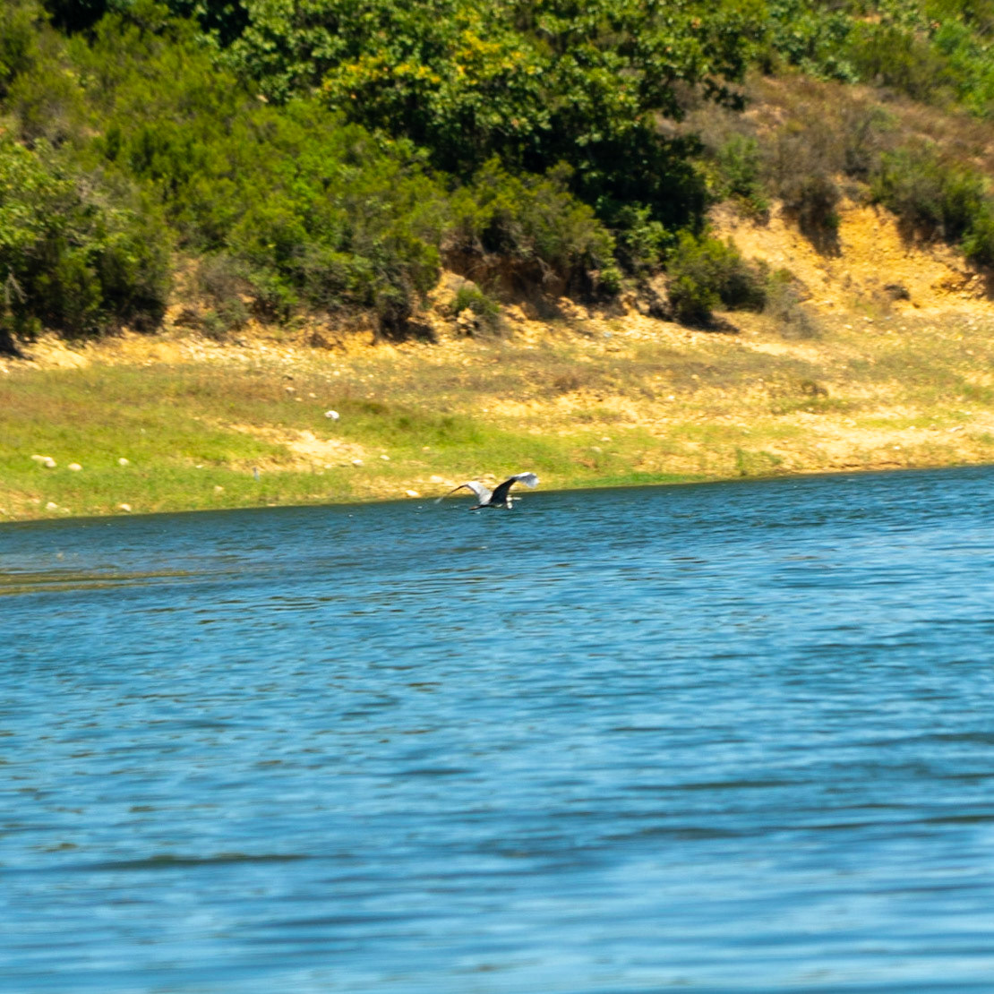 Ömerli reservoir: