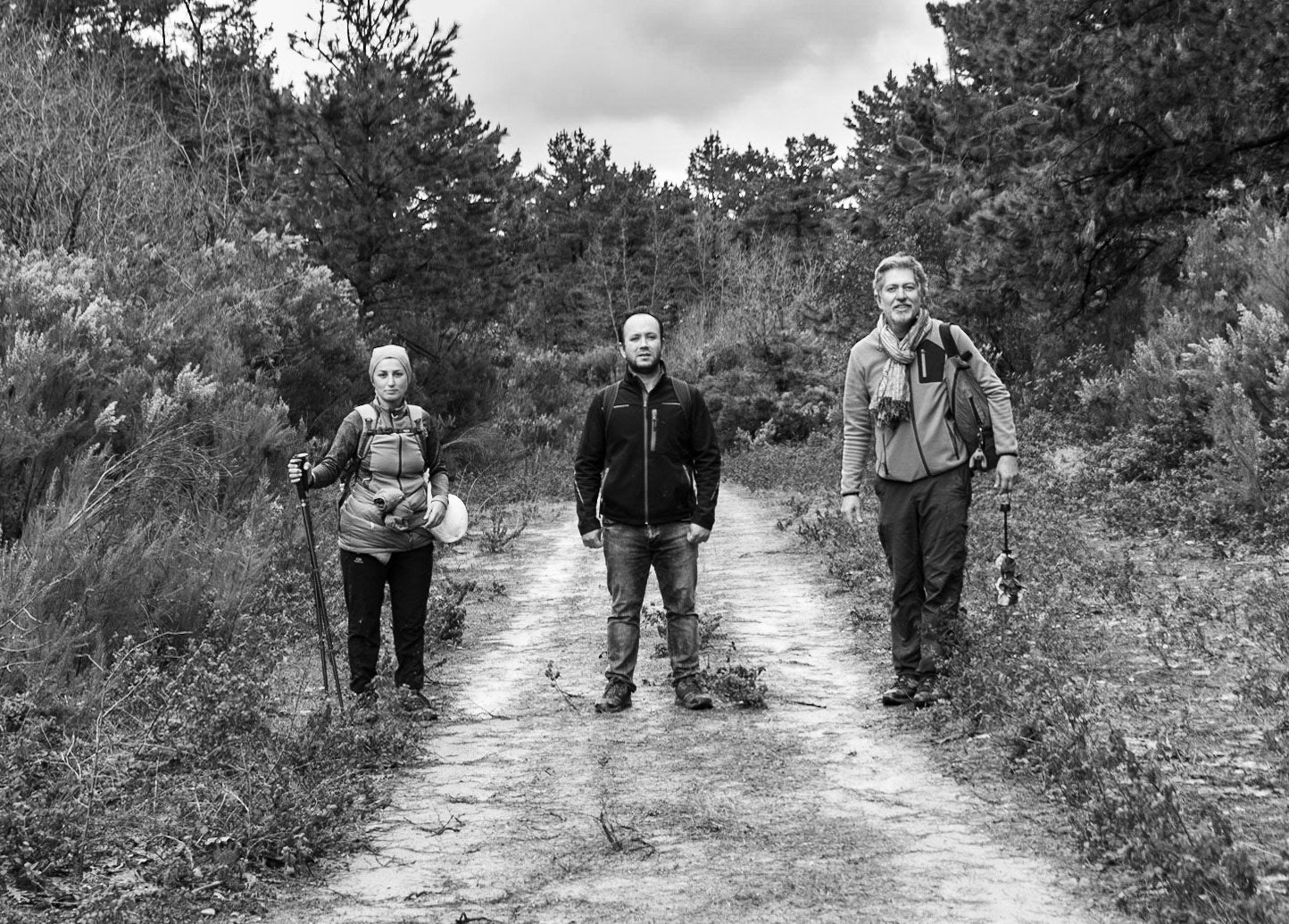 Çavuşbaşı forests: on track