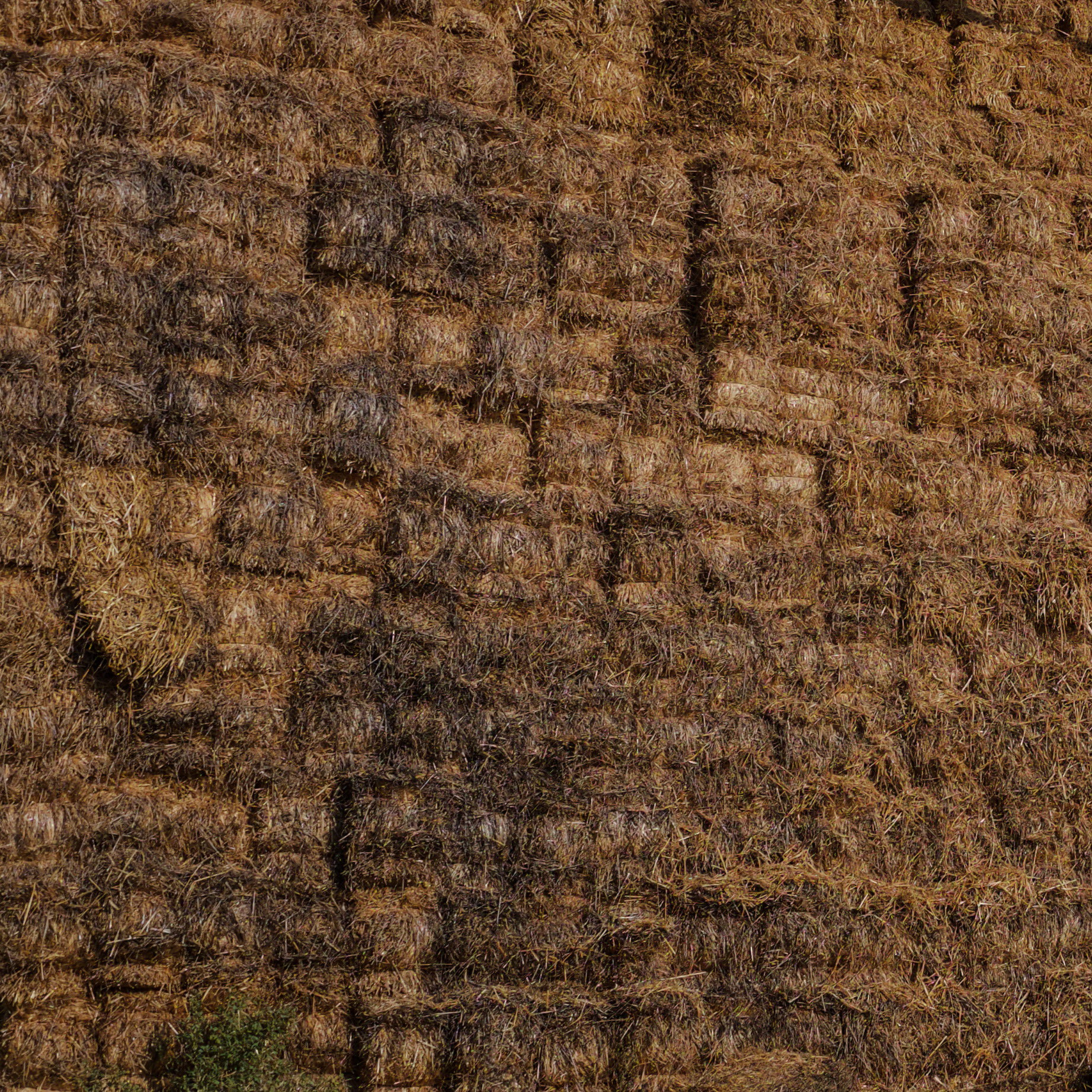 Istanbul University's veterinary farm: the mother of all haystacks