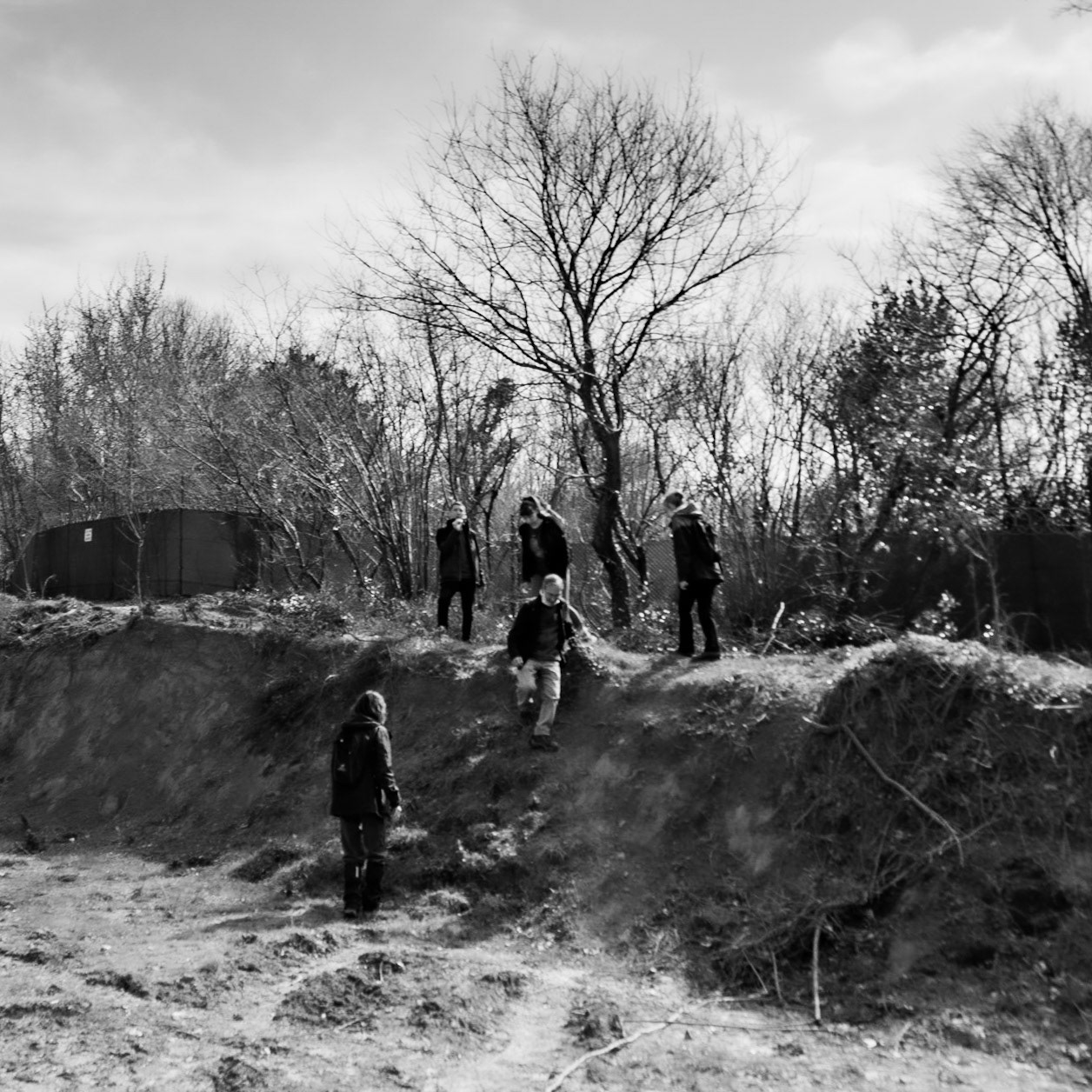 Kirazlı woods: coming down to cross the road