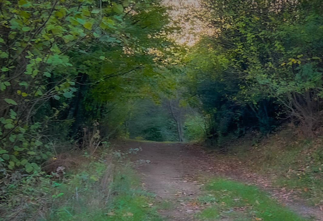 Mahmut Şevket Paşa SW hill: track