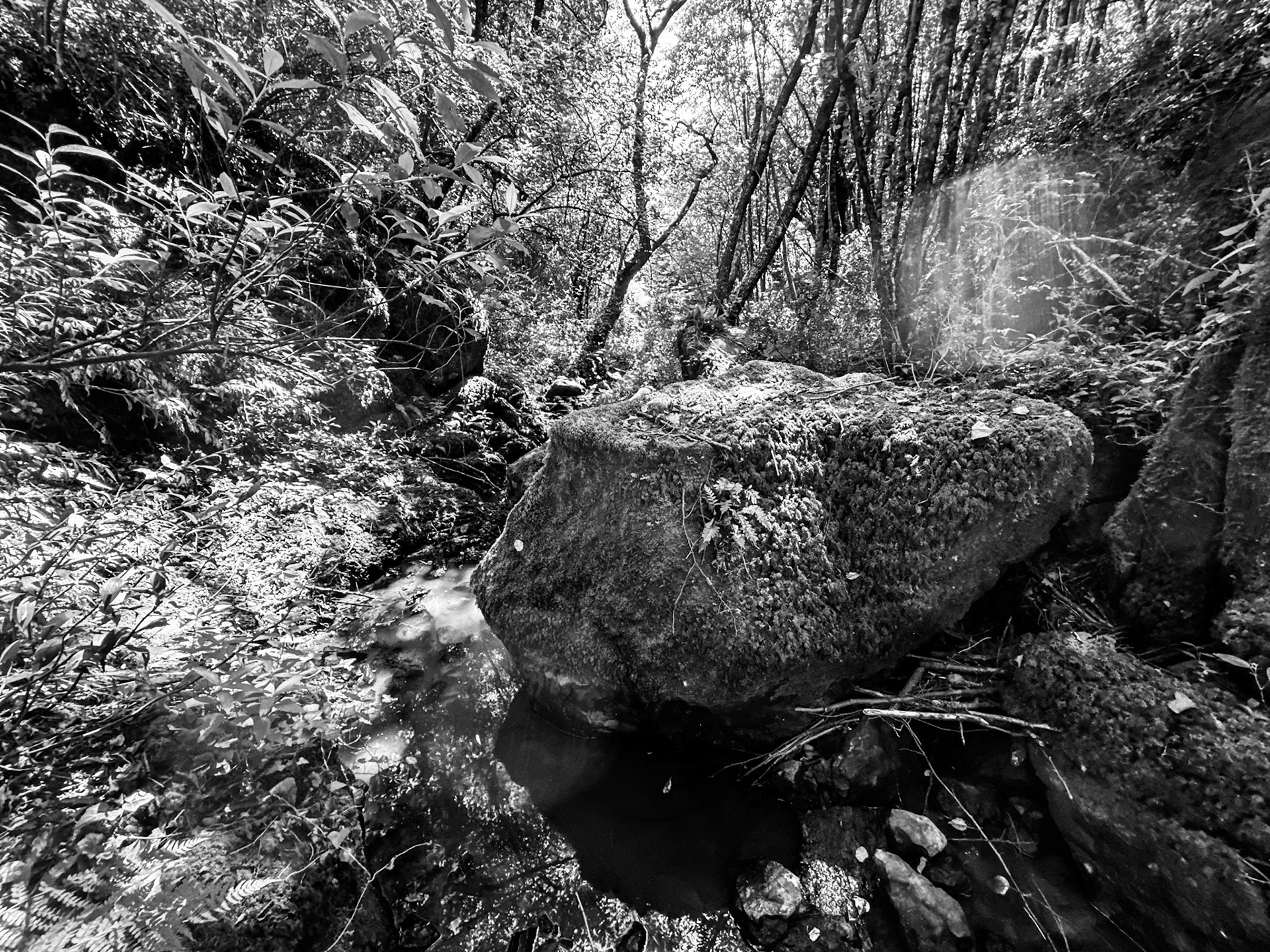 Kılıçlı southeastern stream walk: large rock
