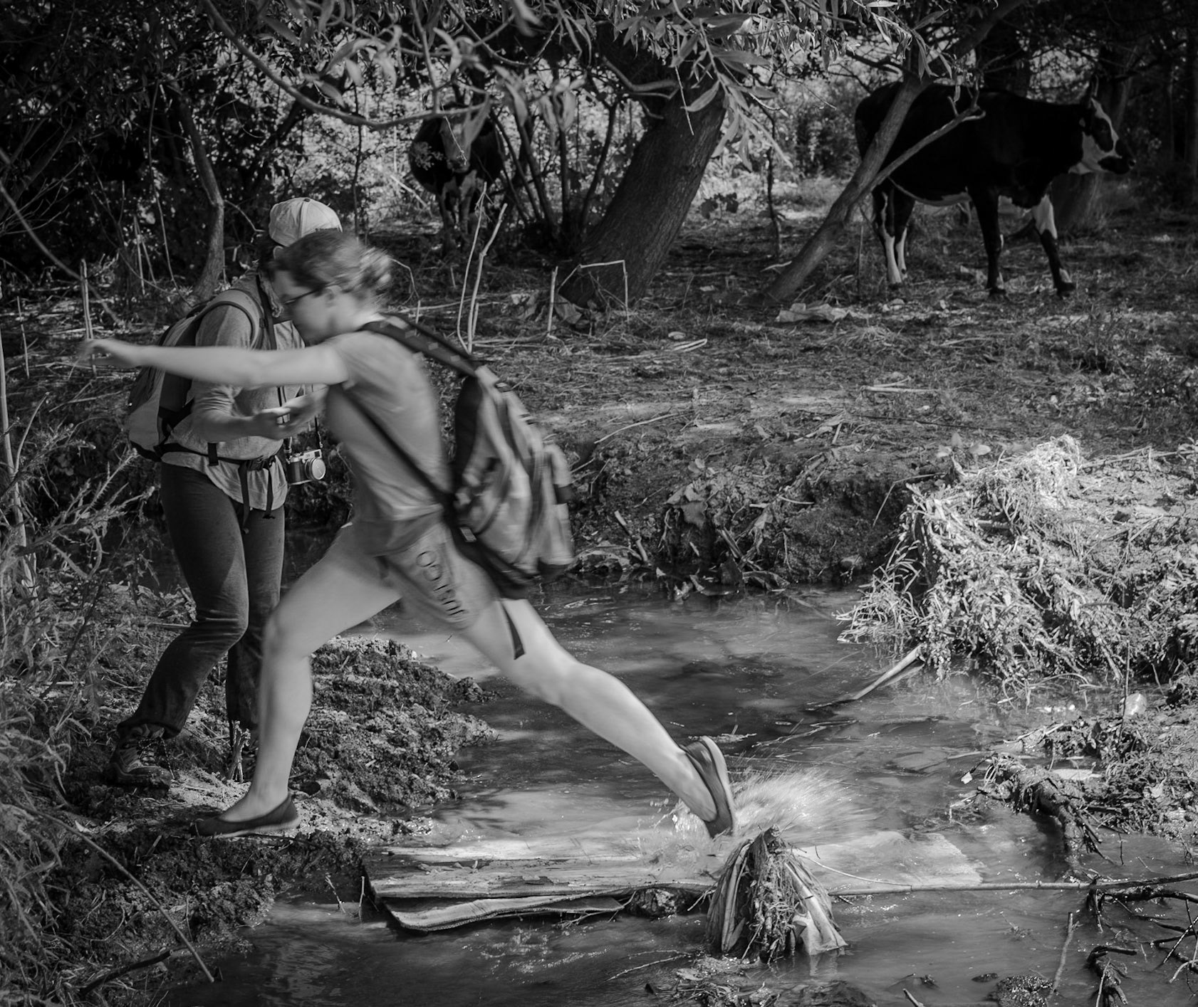 northwestern Küçükçekmece marsh: crossing a stream