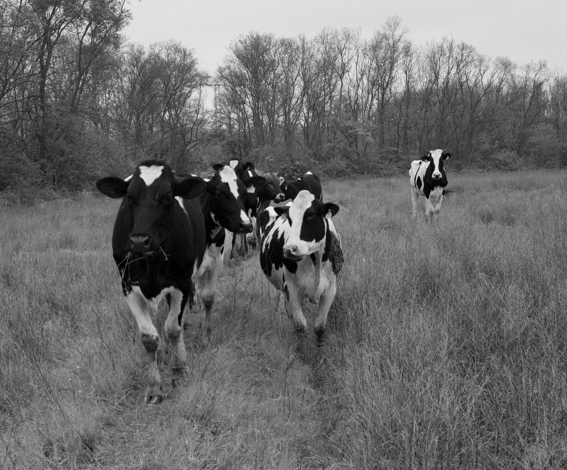 we got out of the way before they did