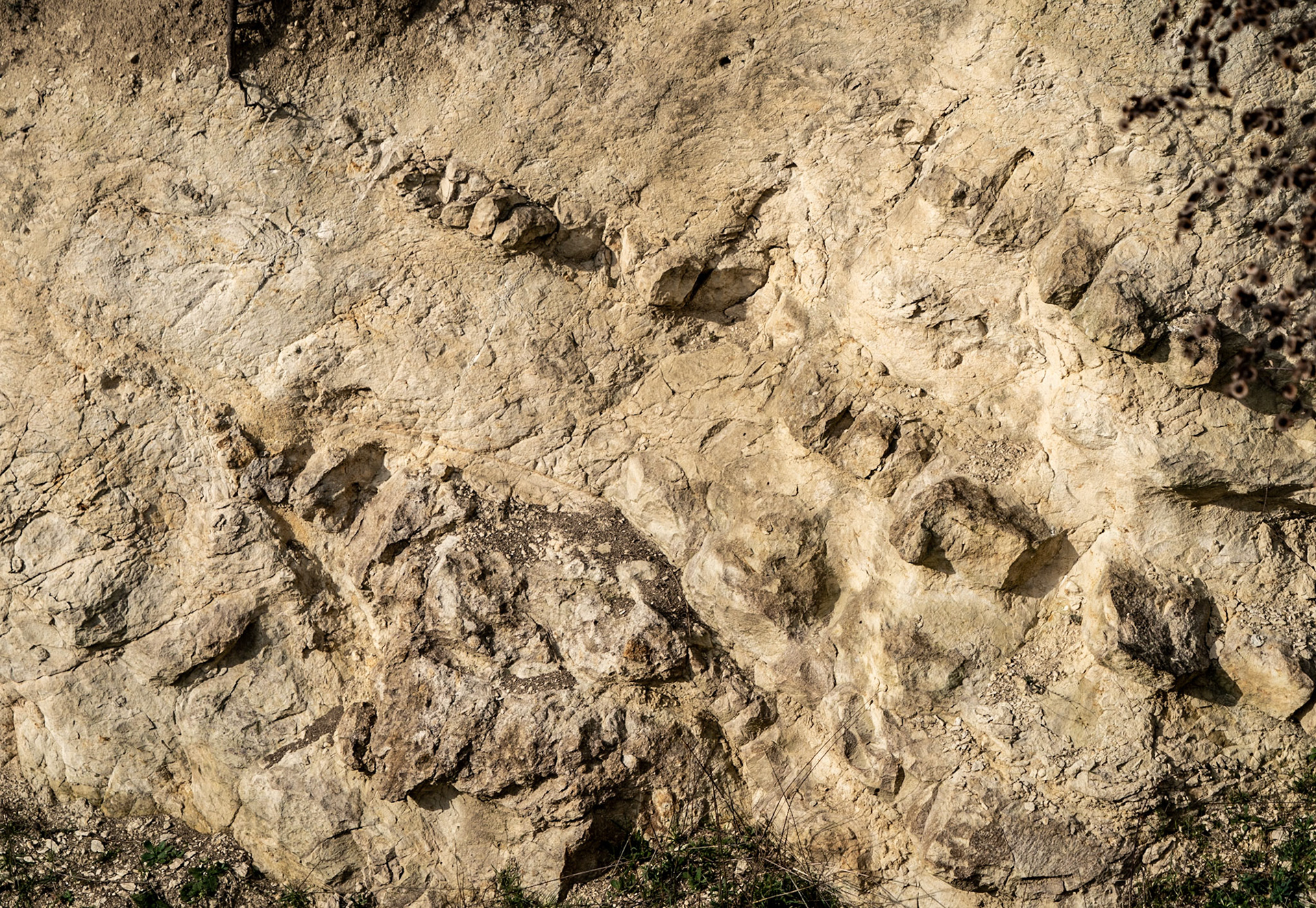 the site of Spradon: remnants of an old construction?