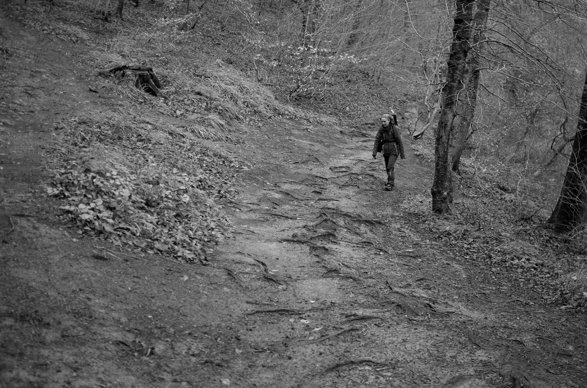 walking along the root-spread track running along the SW side of İkinici Mahmut Göleti