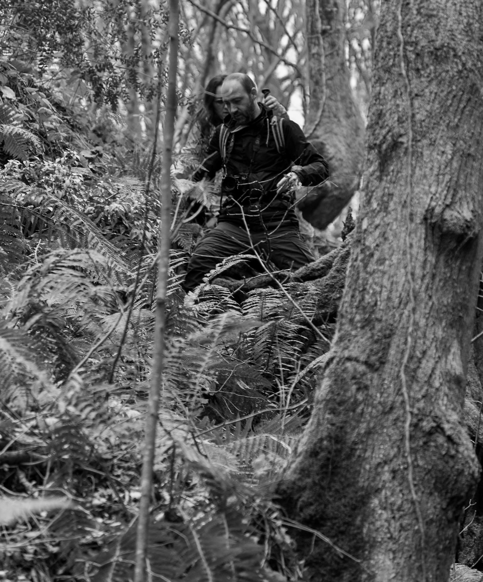 Dolap stream descent: hikers