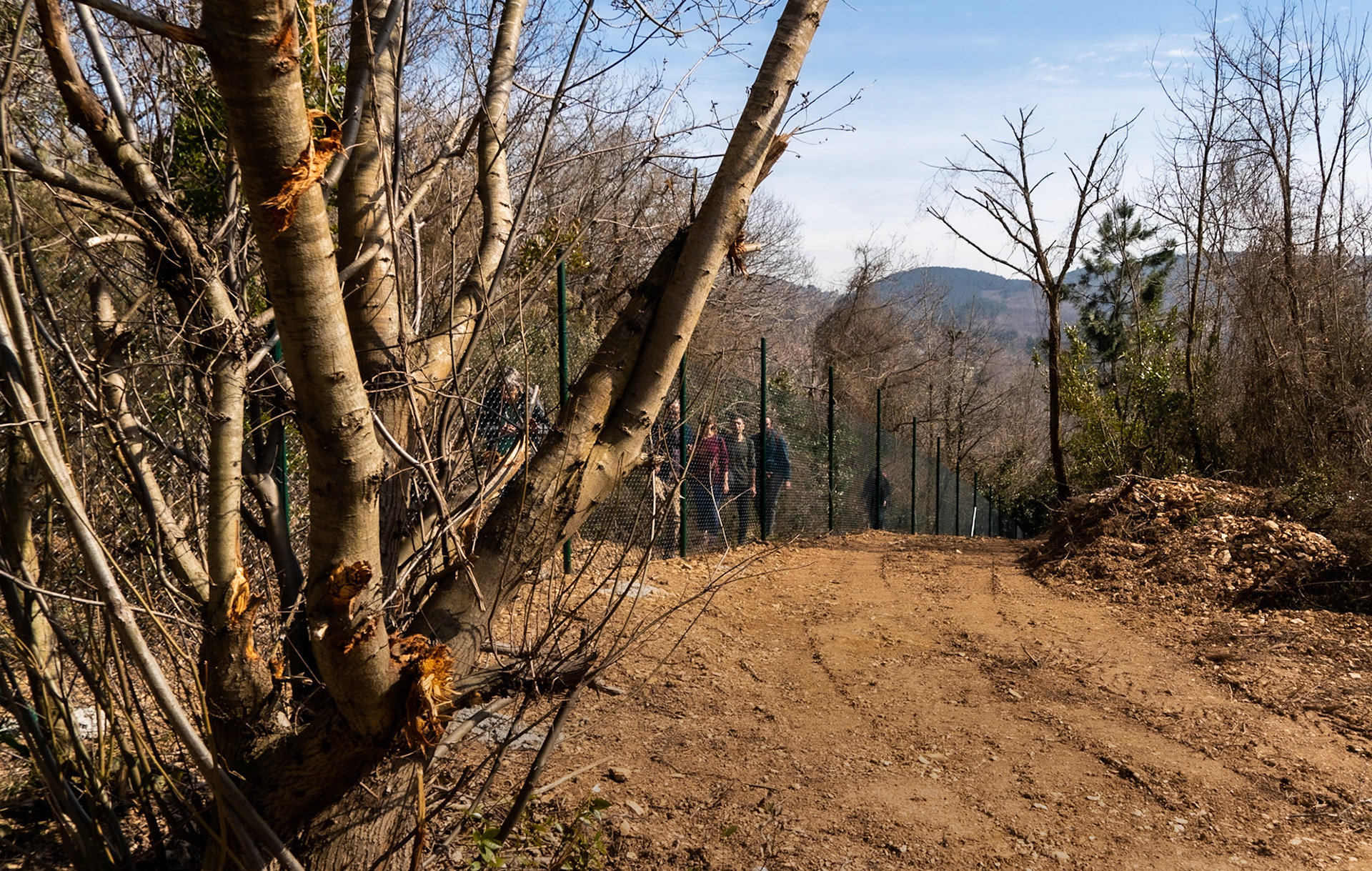 Kaymakdonduran woods: northern fence