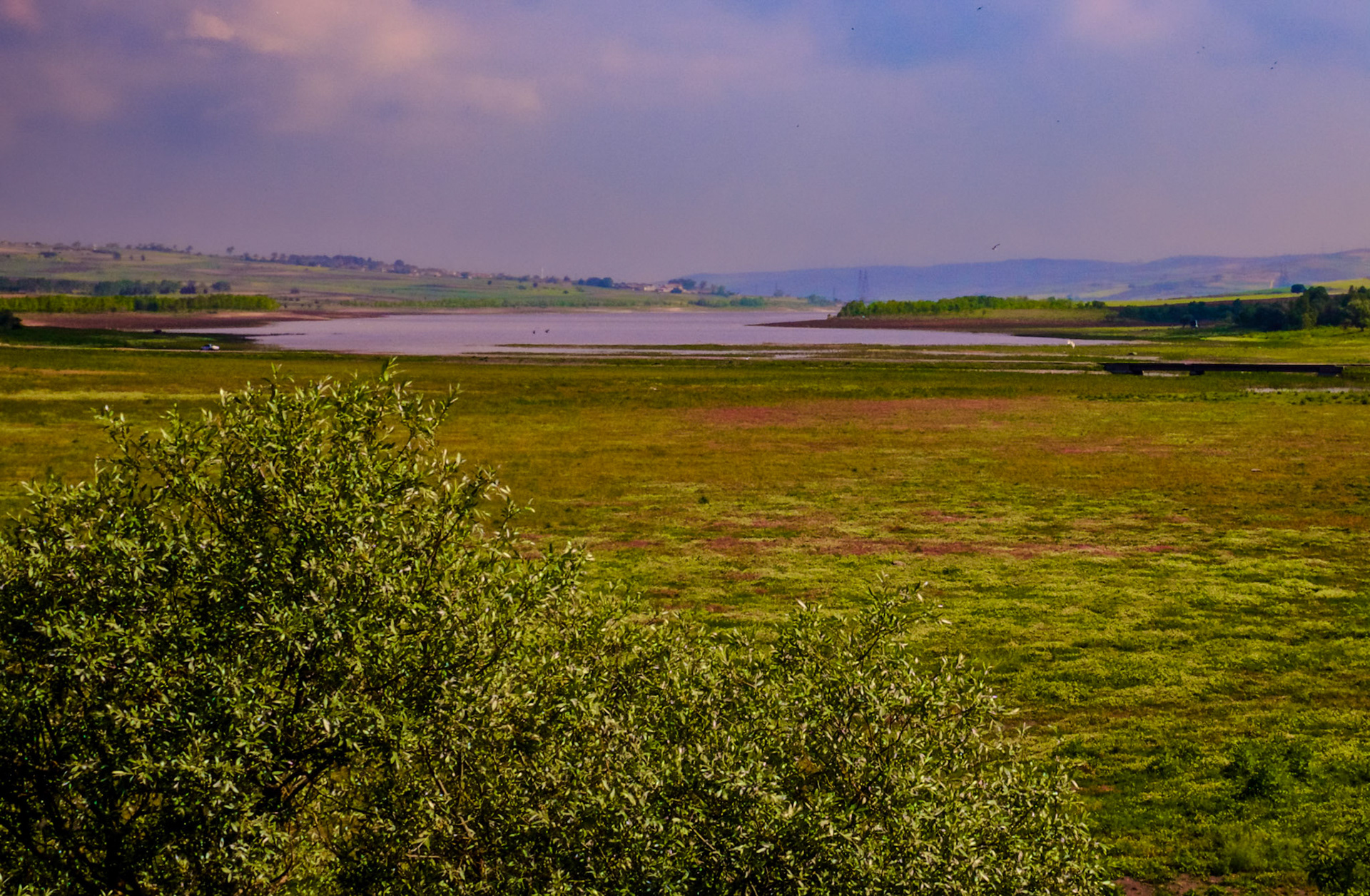 between Dursunköy and the Sazlıdere Reservoir: view towards the reservoir