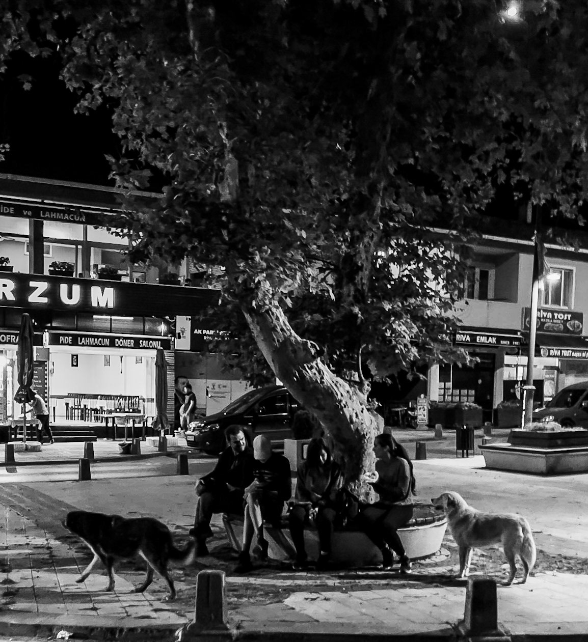 Riva: hikers and dogs