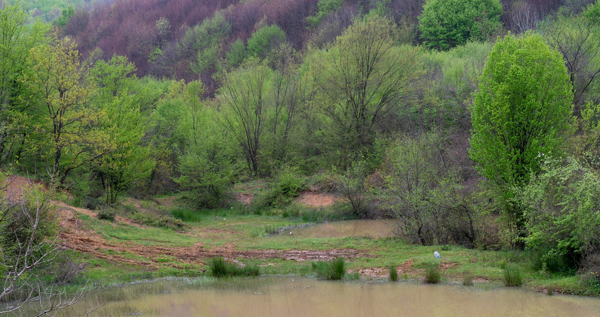 Deǧirmen reservoir: spring scene
