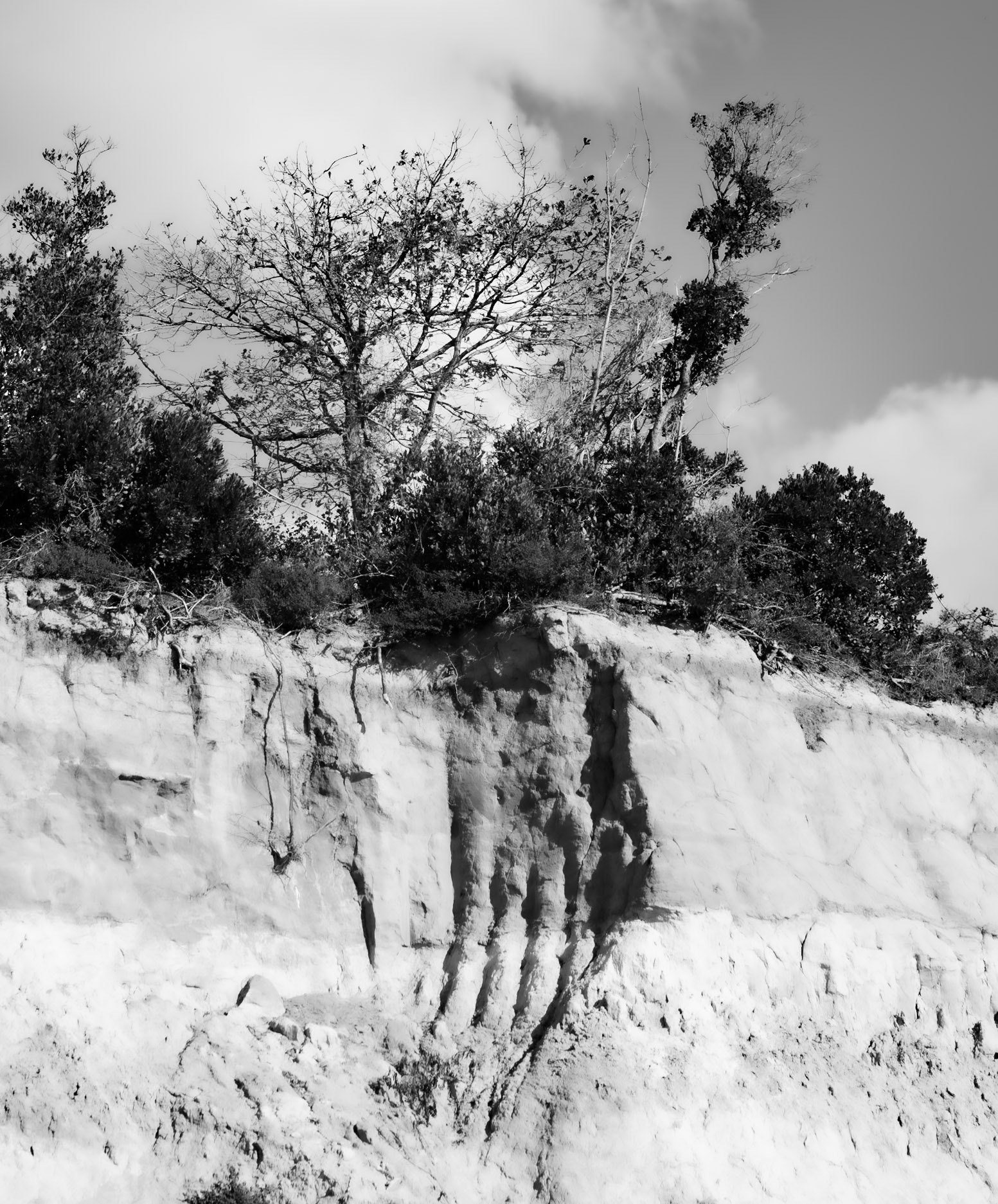 Alacalı sand quarry: the currently abandoned part