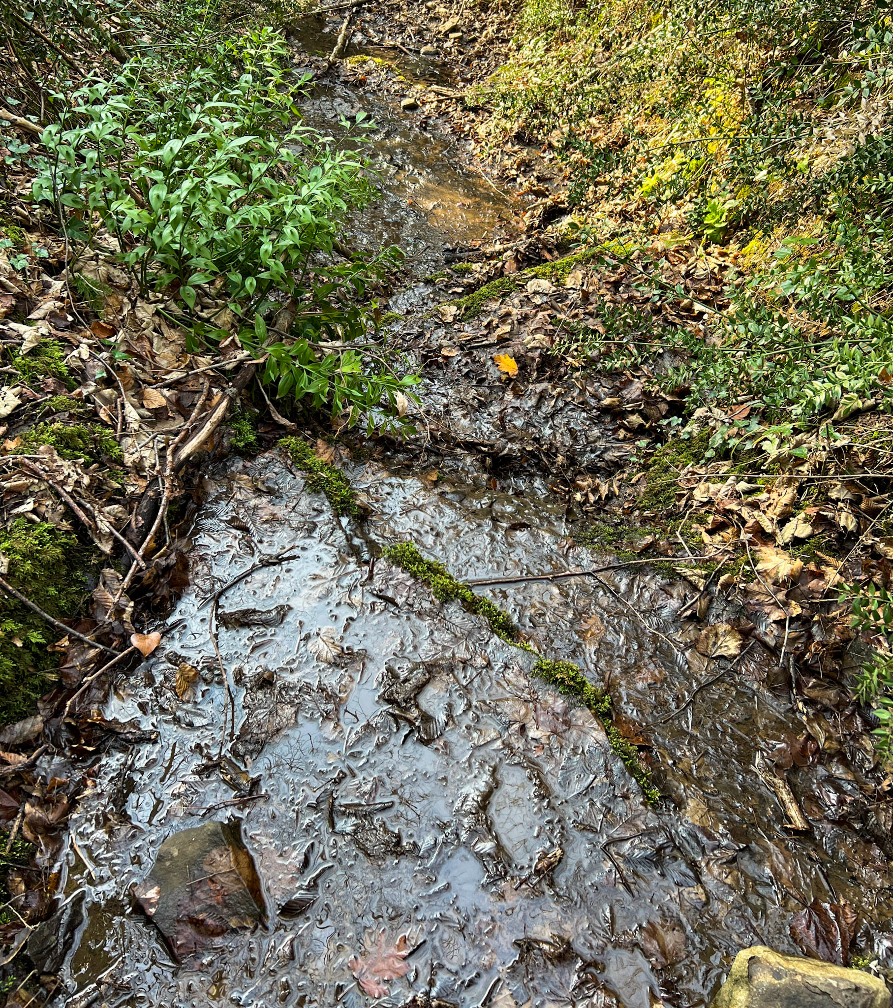 İshaklı E stream valley: stream bed