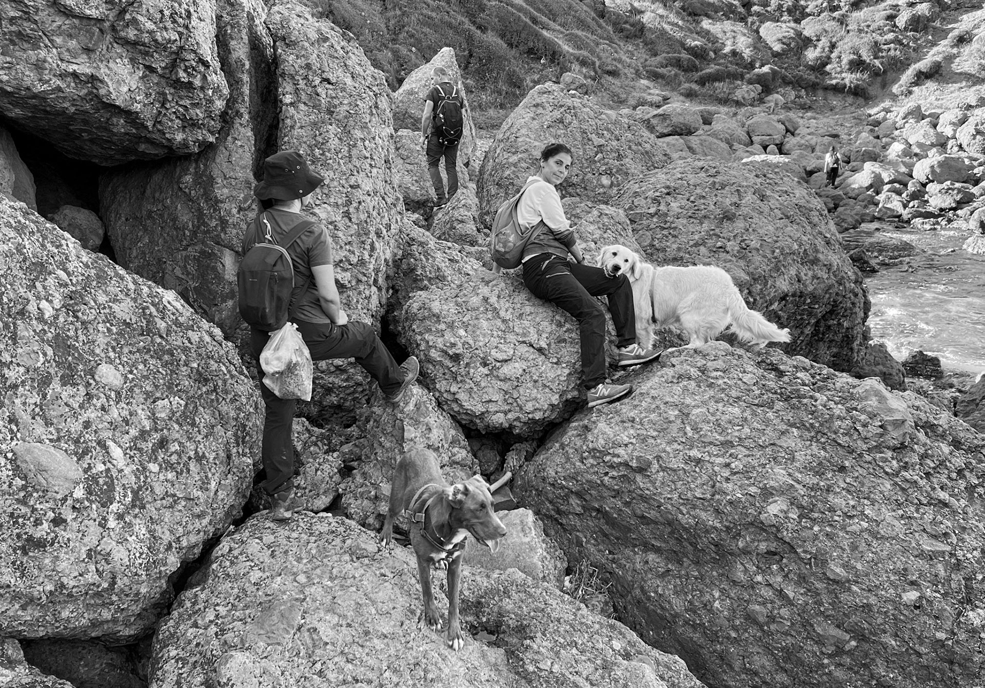 heading west along the line of the Black Sea: Zhen, Alp, Talin and 2 pet dogs