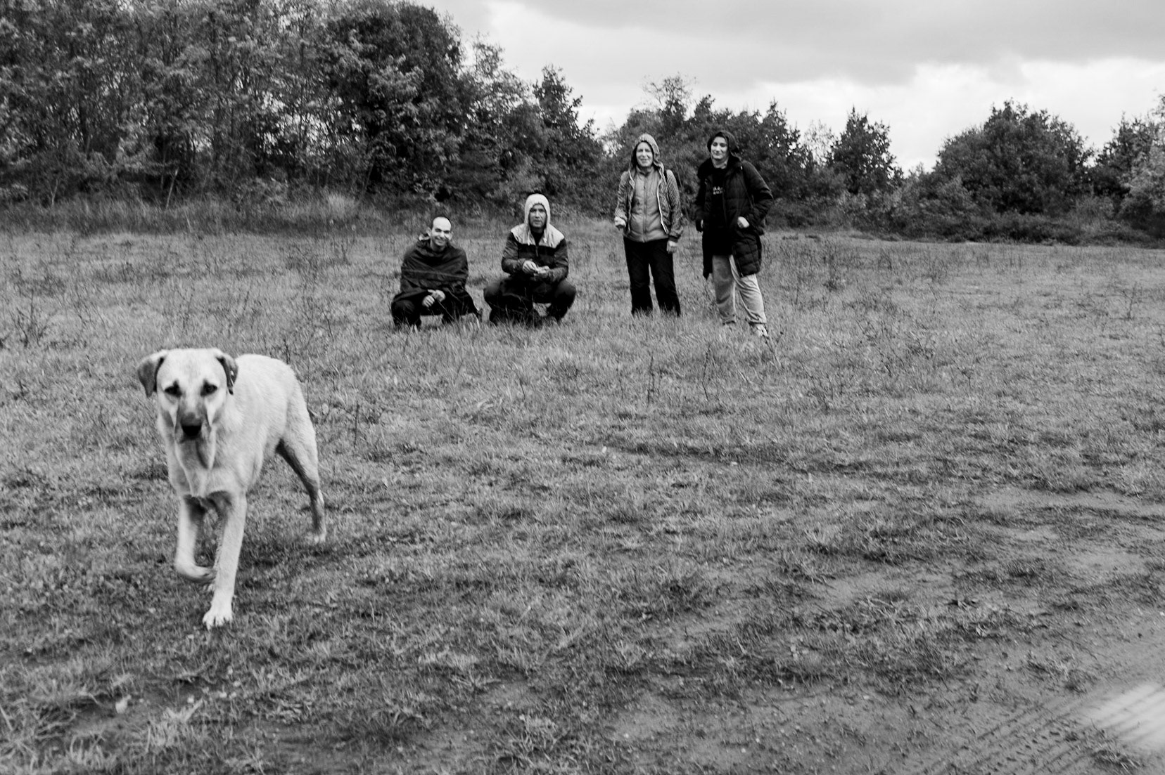 heading south from Poyraz: our damp hiking group today together with our day-dog