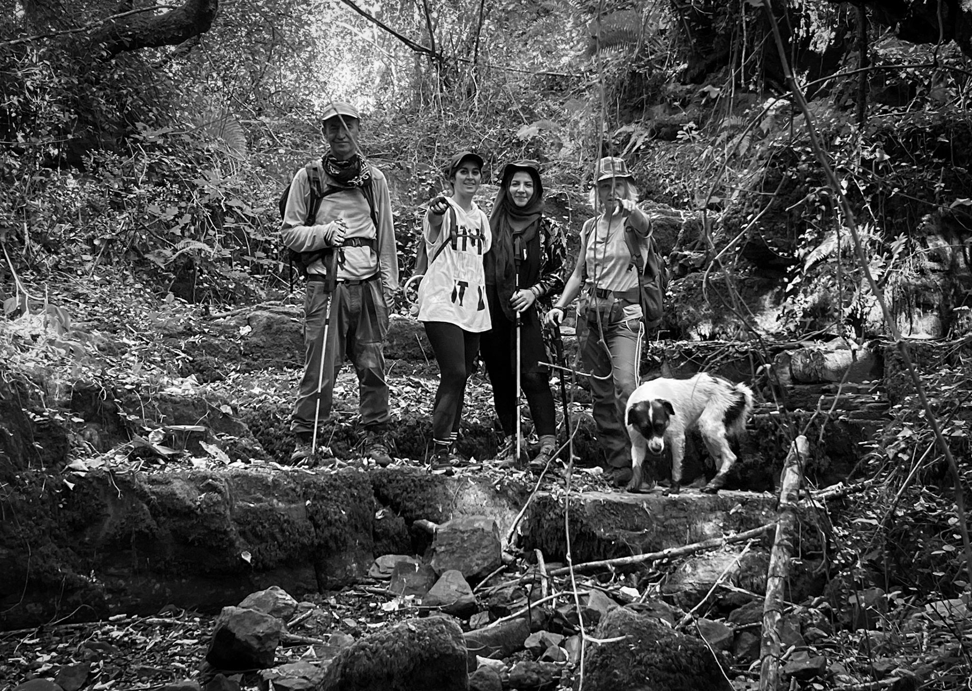 Ayhan Şahenk ledged streambed: today's hikers pose on a rocky step with our daydog