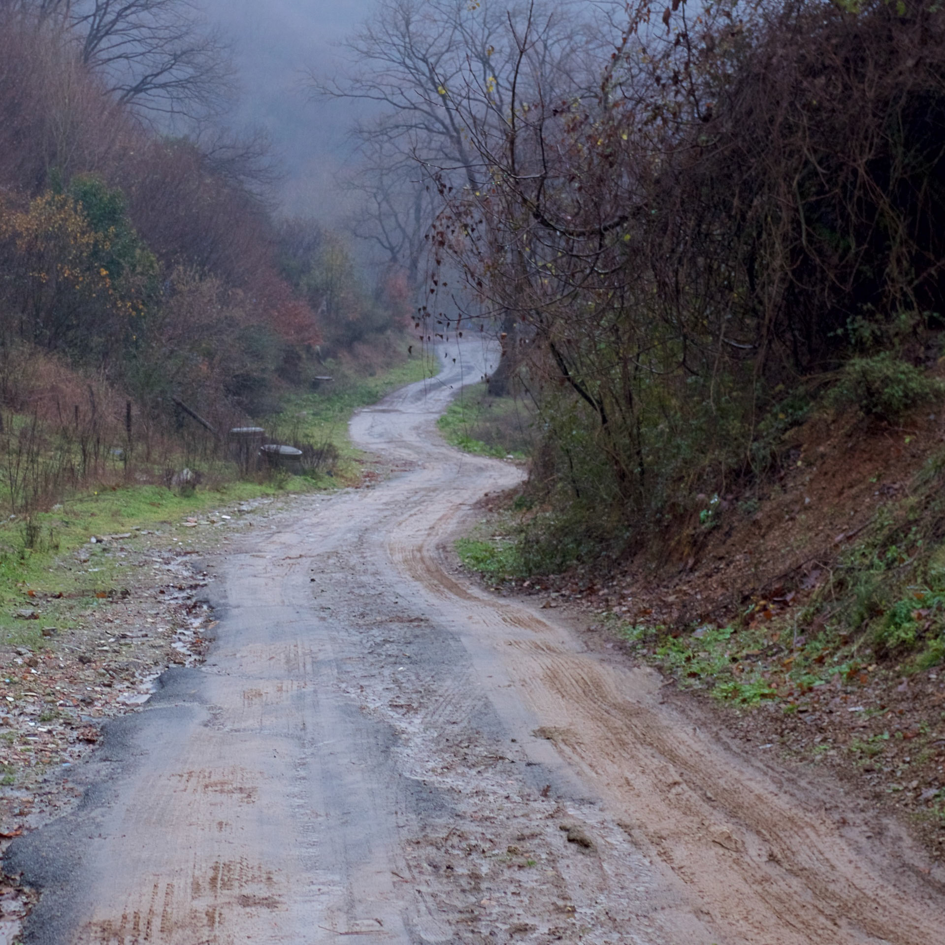 descending along the woodland road SE from Bahçeköy towards the place of twisted trees