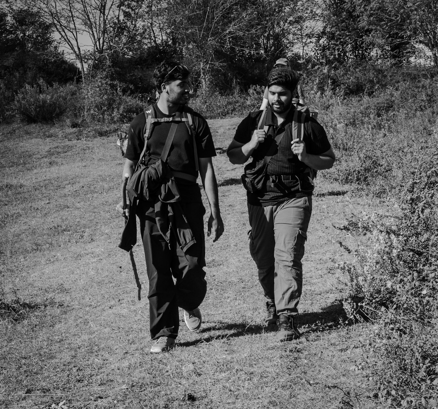 Doǧancılı western forest: the hikers today