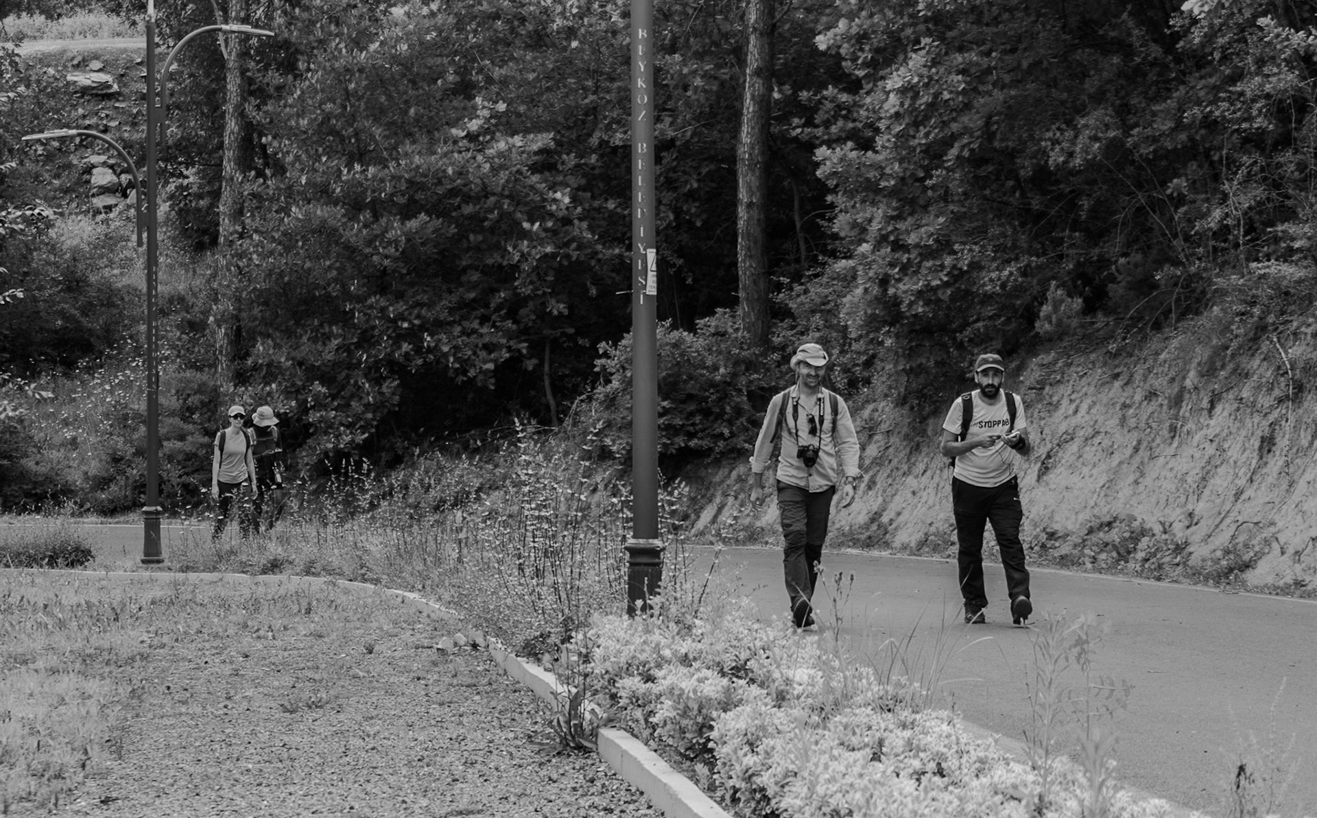 Beykoz Spor Ormanı: walking along the deserted track