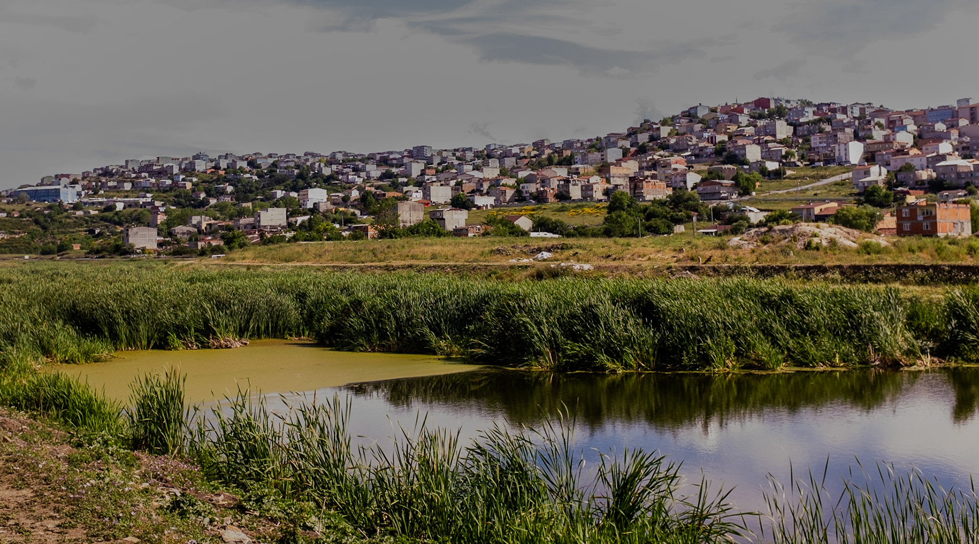 Şahintepe: a town of gecekondular, one with rather more character than the TOKİ satellite town of Altınşehir facing it across the Sazlıdere valley