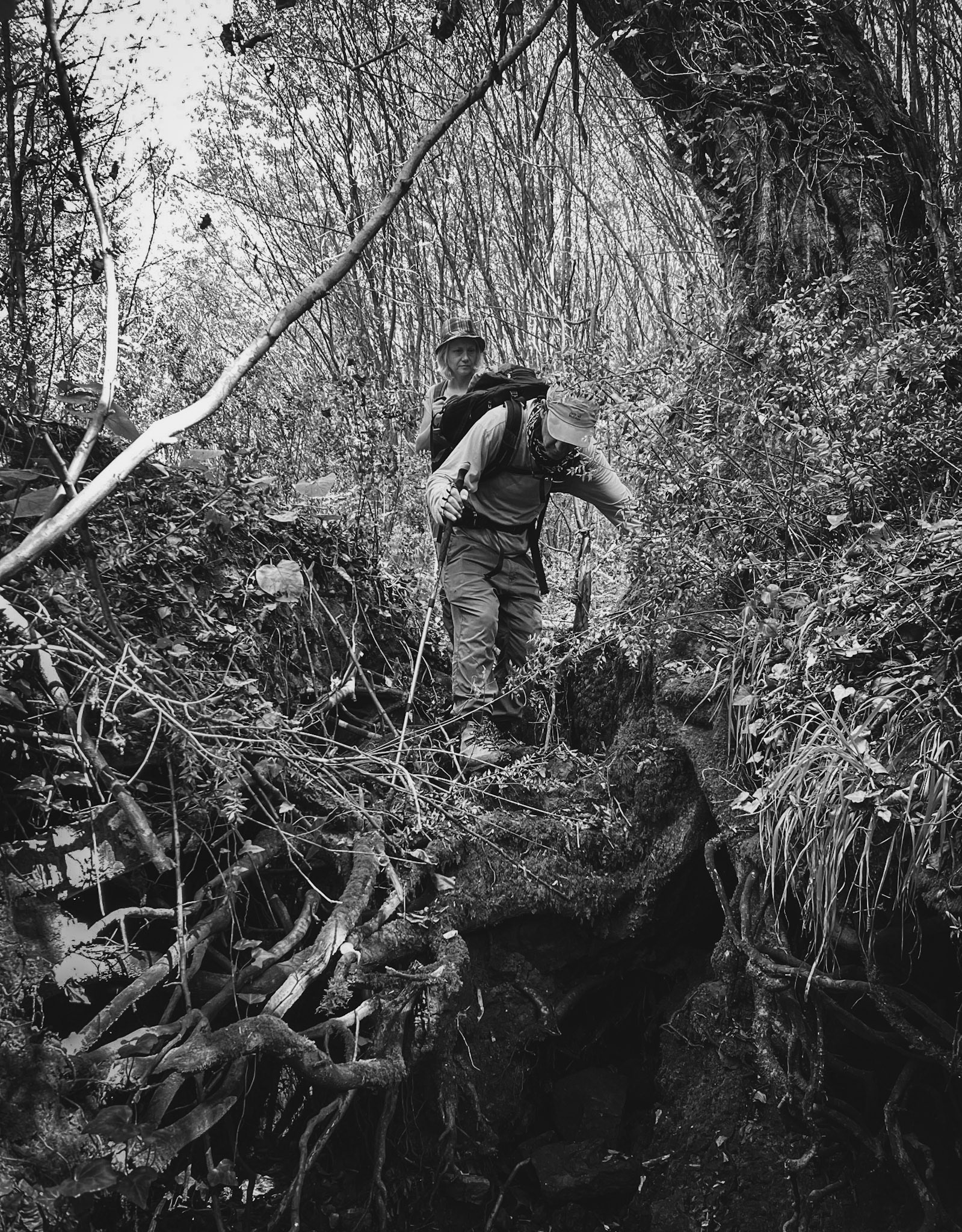 Kılıçlı southeastern streambed: making our way downstream