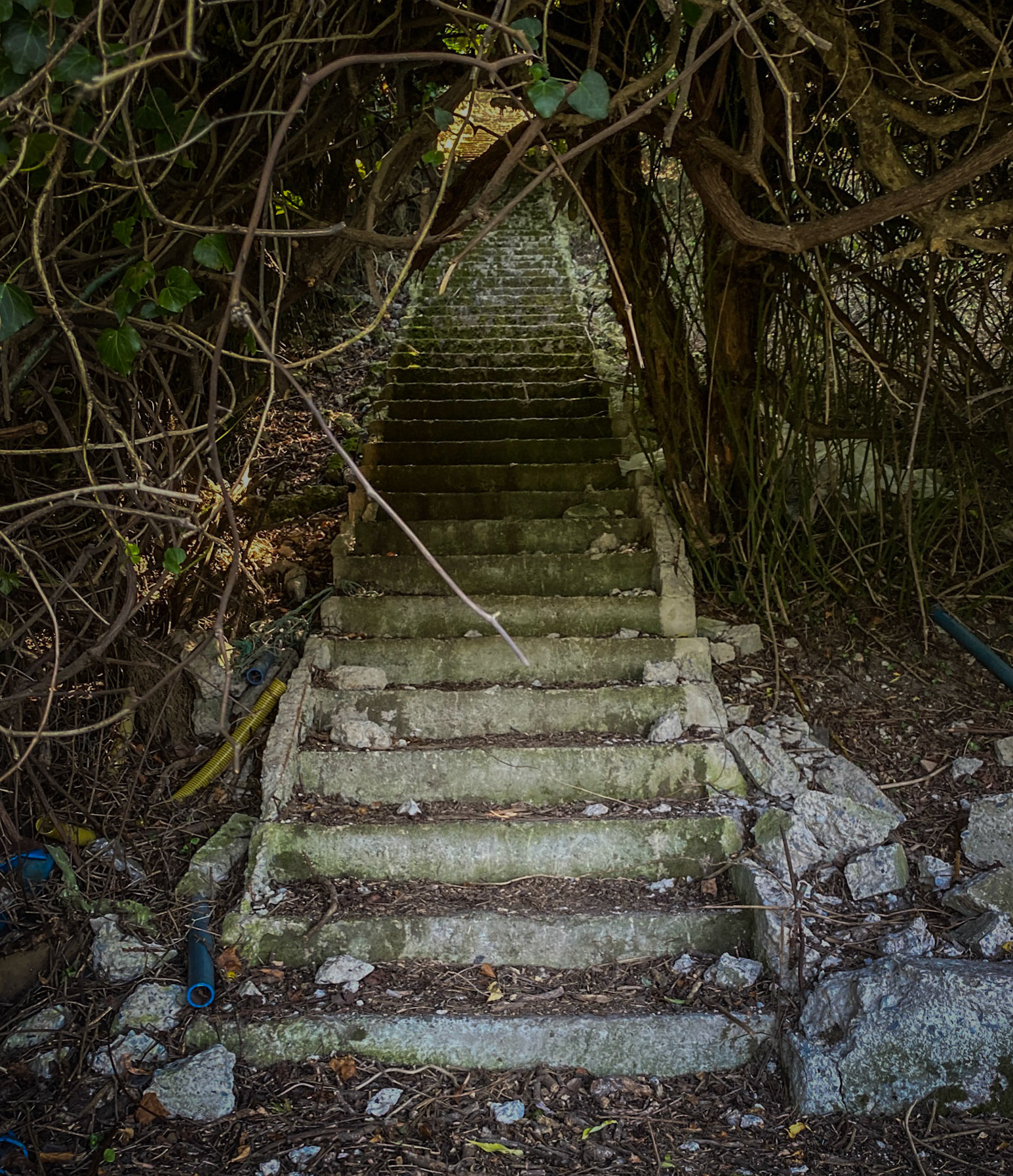 Trikos promontory: stairway to heaven