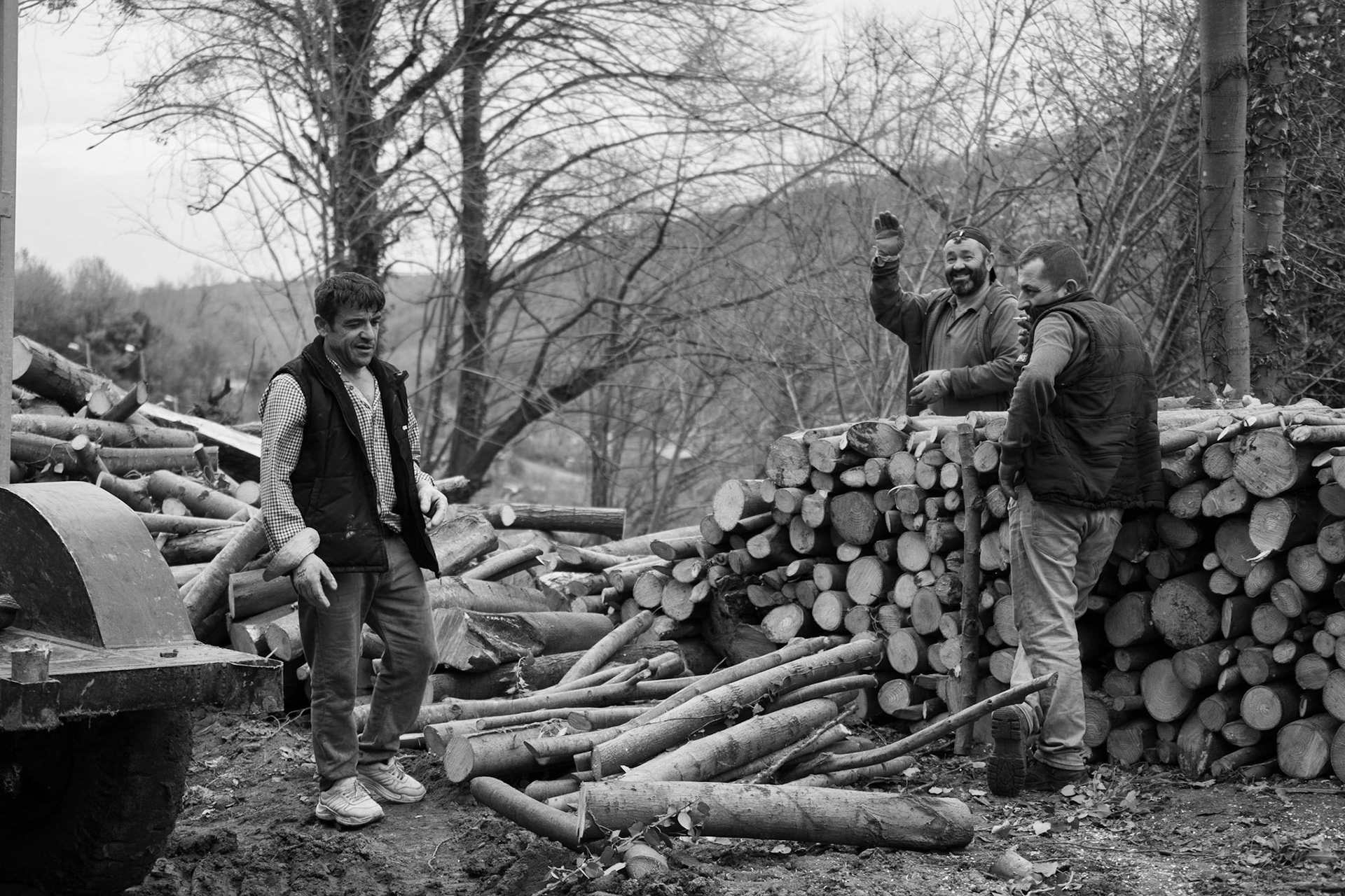Kaynarca forest: cheerful woodcutters
